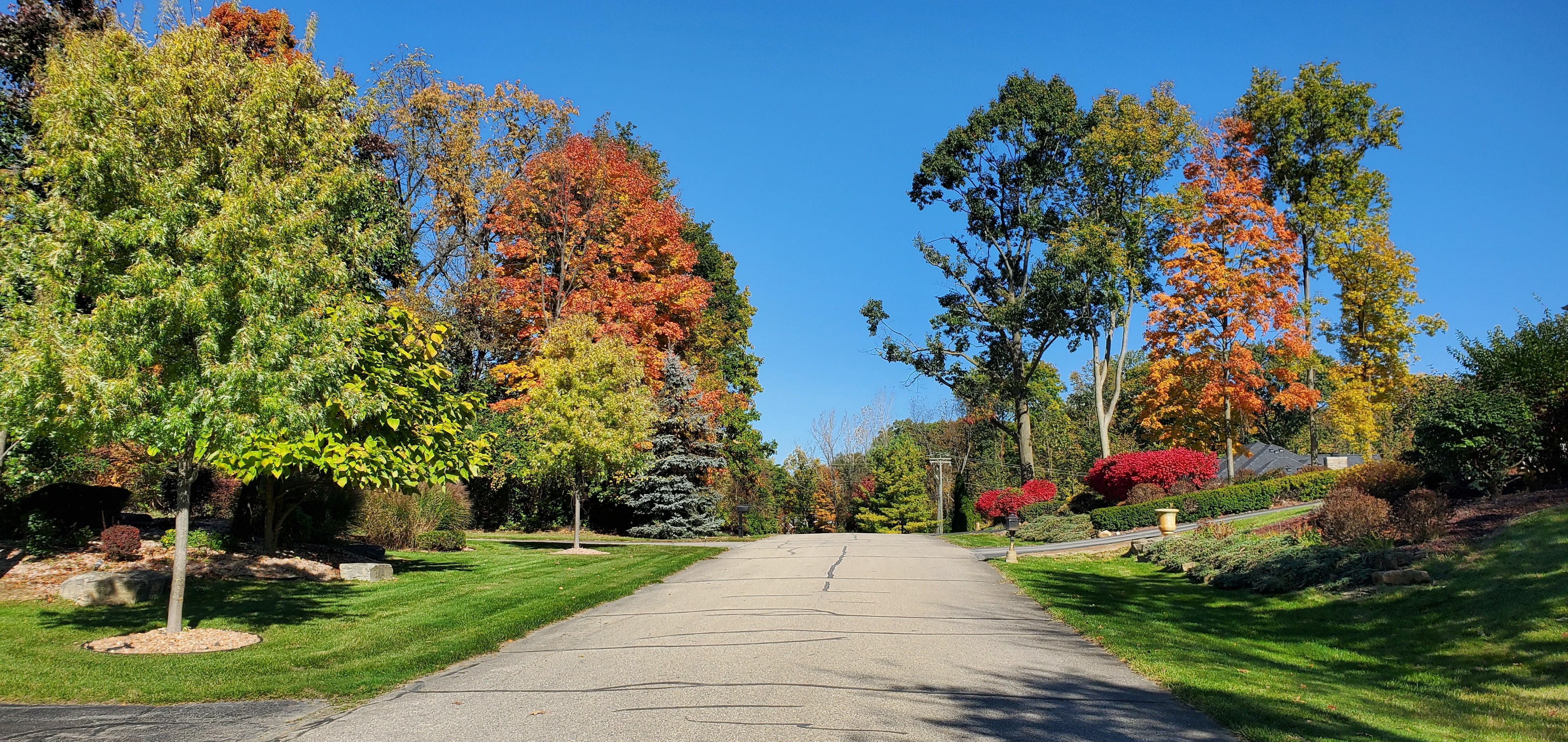 Property Photo:  8557 Forestview Drive  MI 48187 