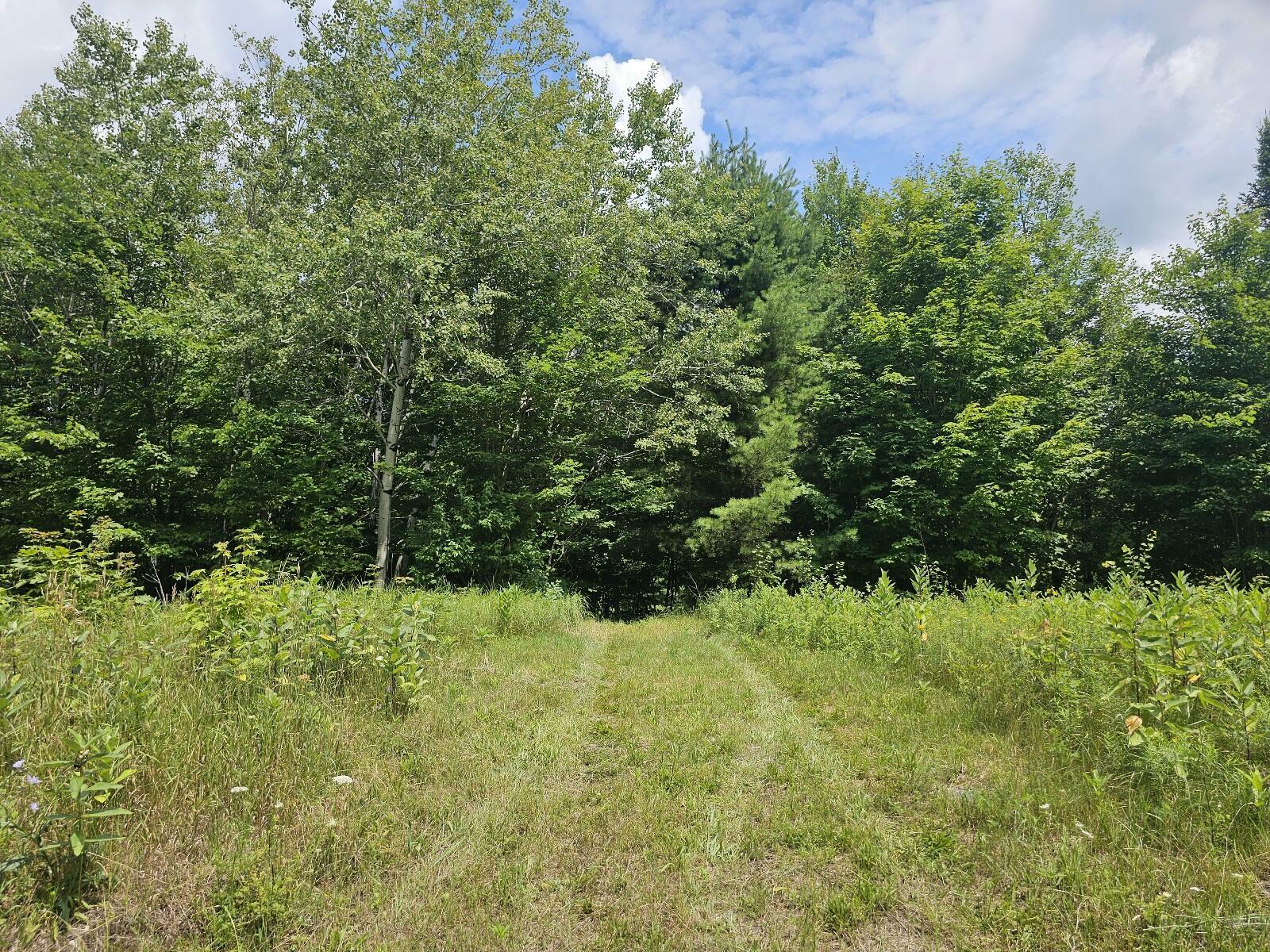Property Photo: 9907 Sh 3 NY 12973