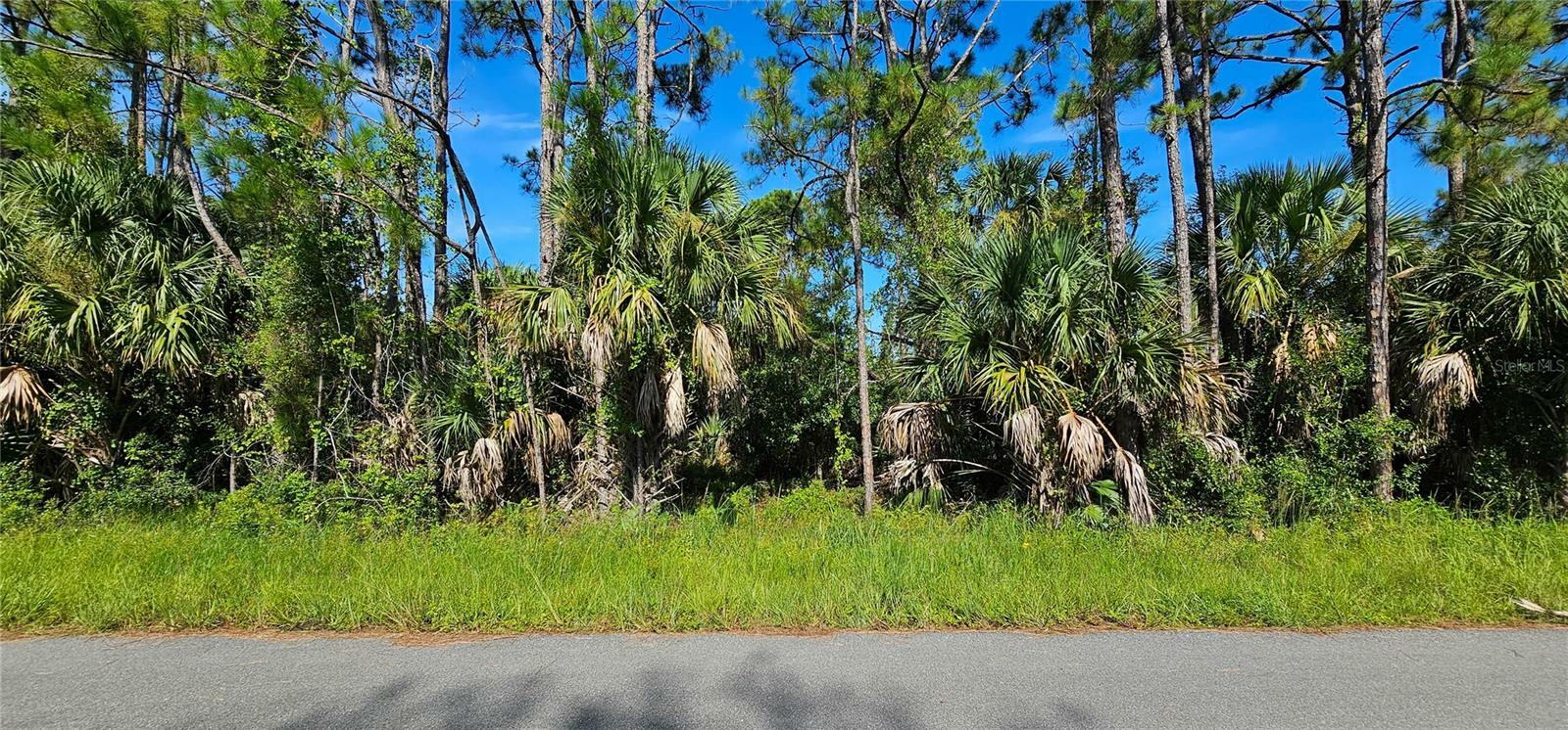 Property Photo:  Lummus Street  FL 34286 