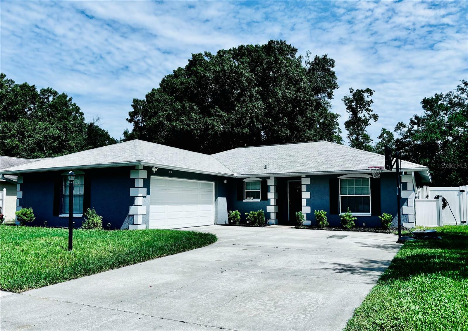 28315 Tanglewood Drive  Wesley Chapel FL 33543 photo