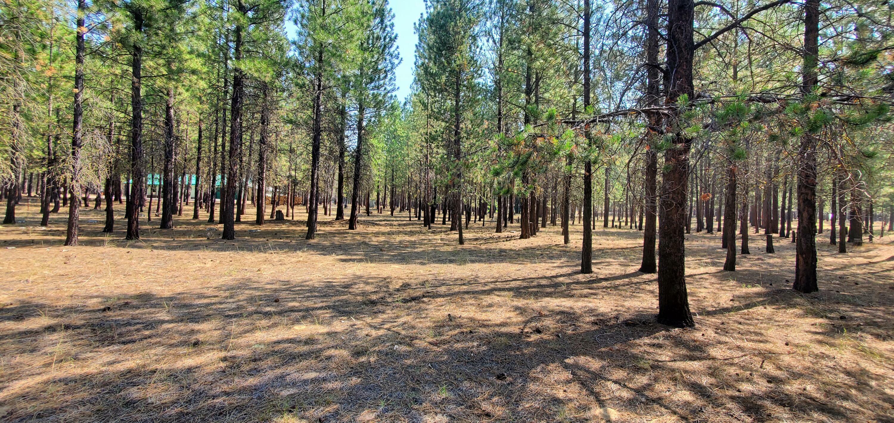 Property Photo:  51986 Black Pine Way  OR 97739 