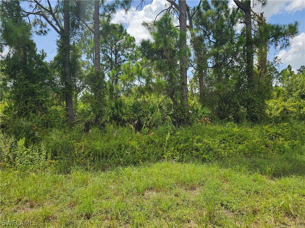 Property Photo:  760 Oro Avenue S  FL 33974 