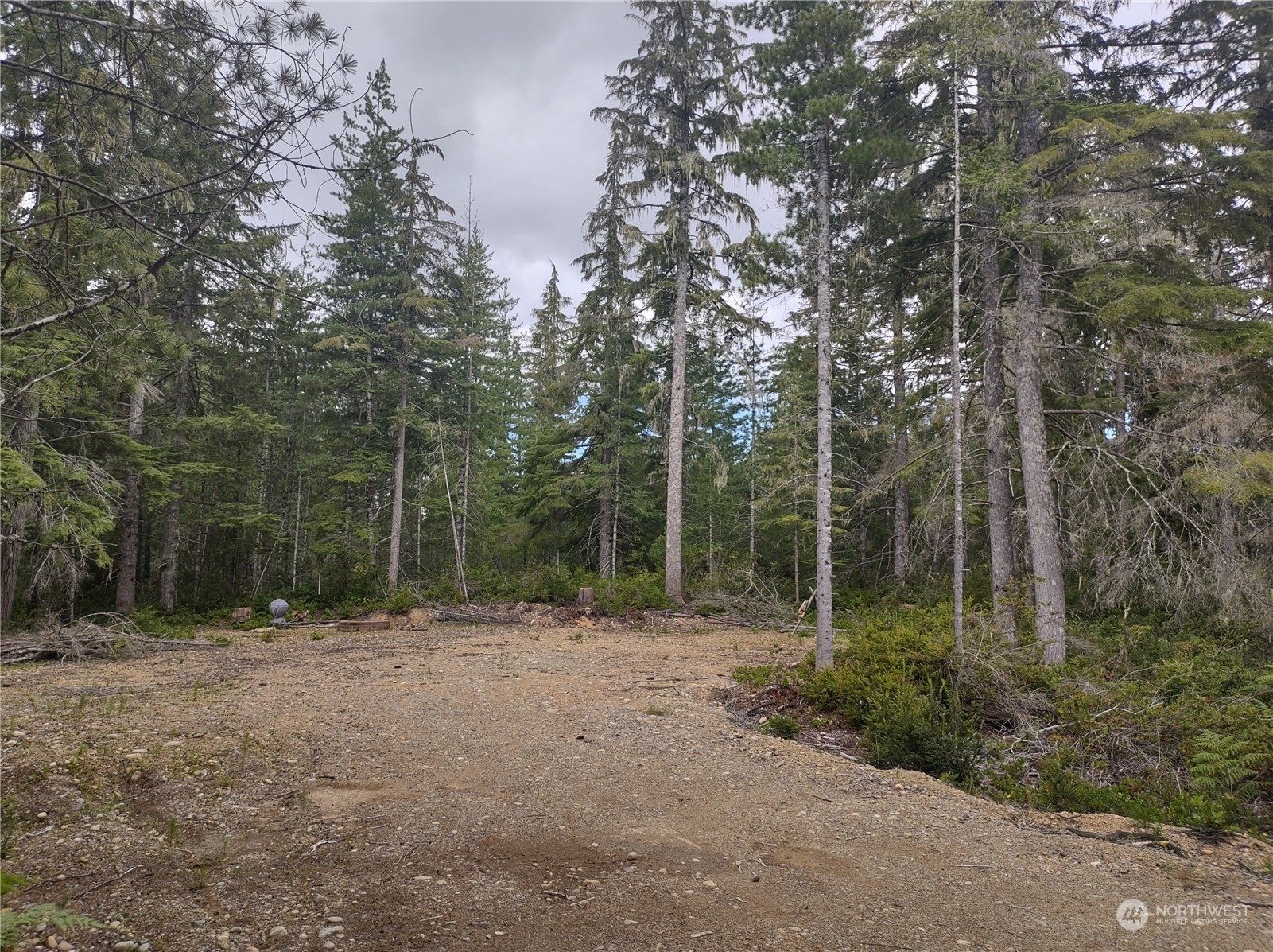 Property Photo:  0 Bedrock Rd.  WA 98528 