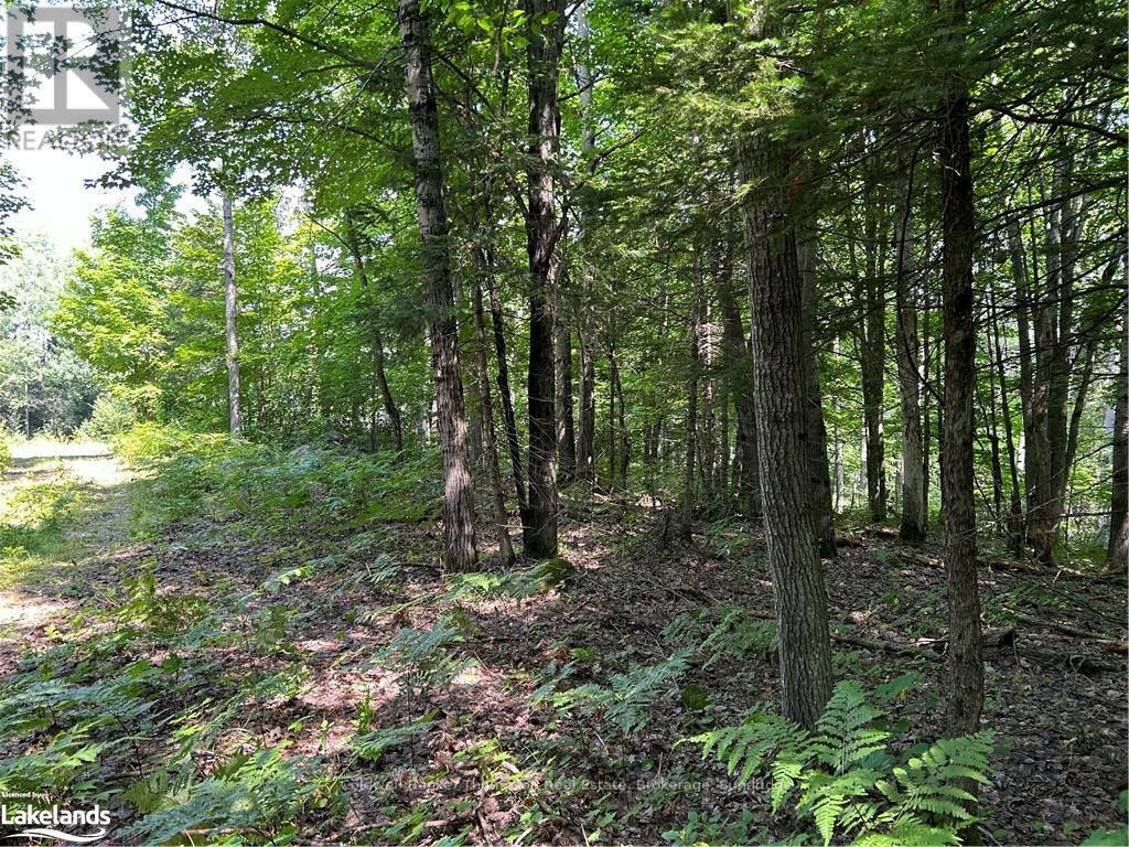 Photo de la propriété:  Lot 22 Frank Street  ON P0A 1P0 