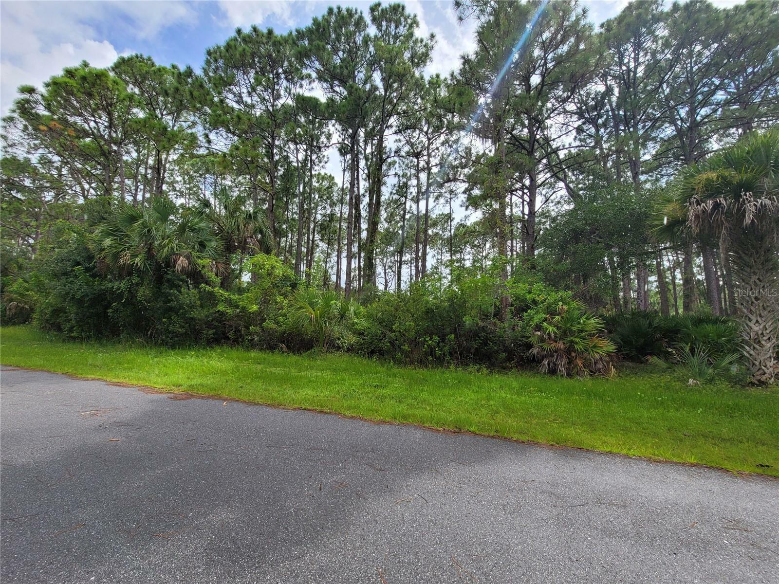 Property Photo:  12501 Welon Avenue  FL 33953 