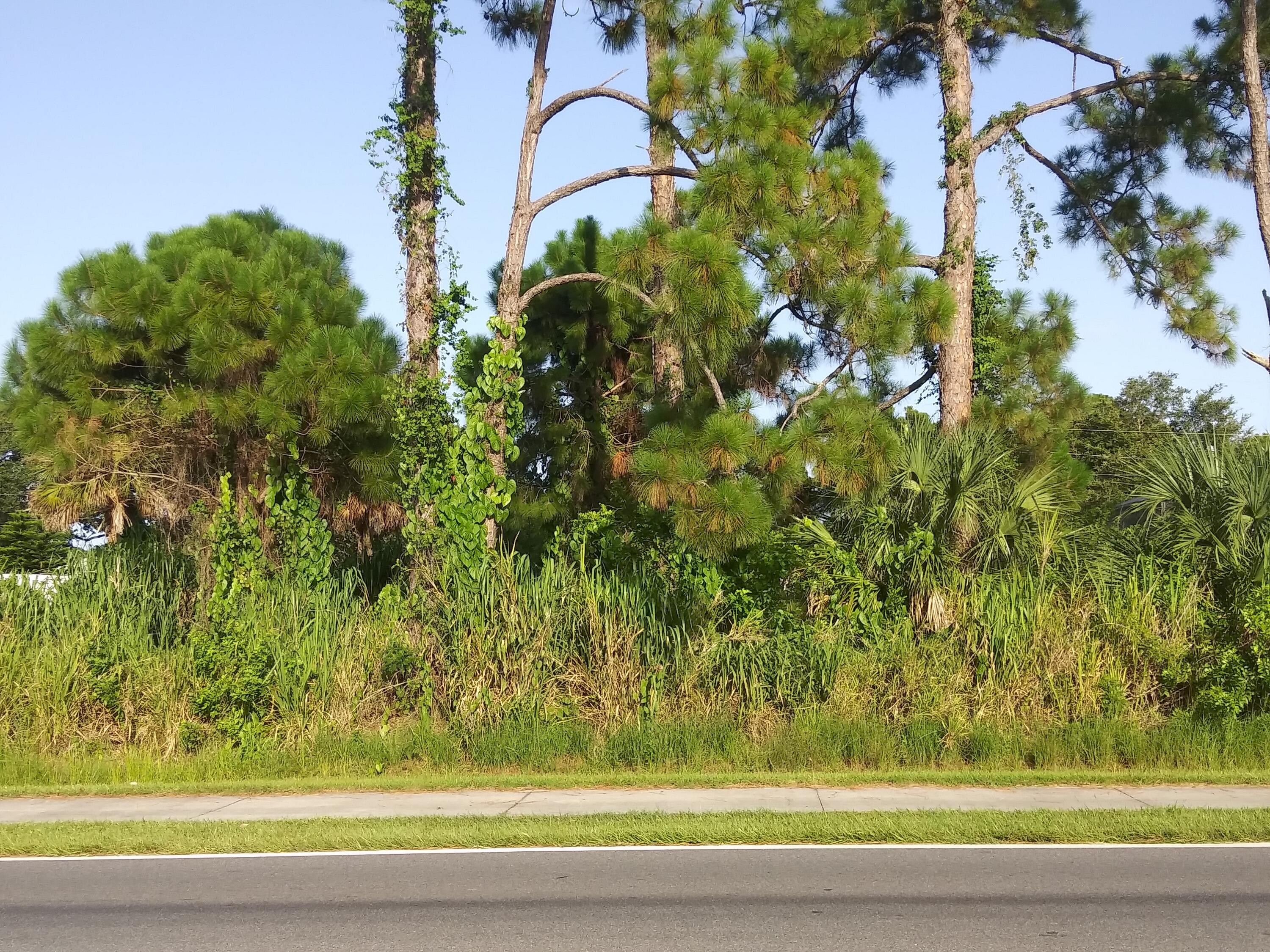 Property Photo:  1399 San Filippo Drive SE  FL 32909 