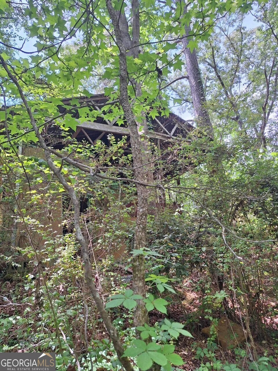 Property Photo:  541 B Ellis Dairy Road  GA 30224 