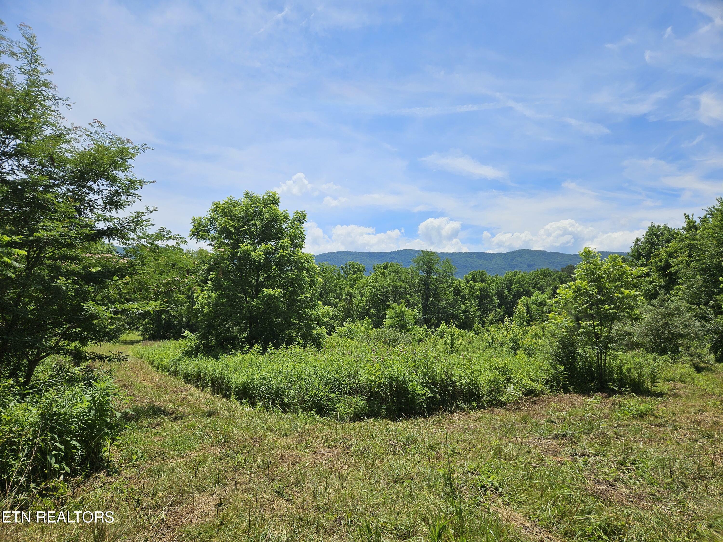 Property Photo:  Six Mile Rd  TN 37803 