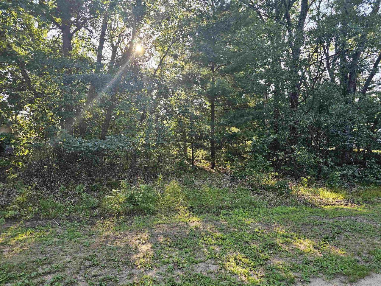 Property Photo:  Lt 13 13th Avenue  WI 53934 