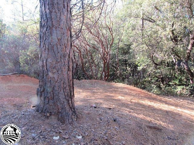 Property Photo:  Lot 31 Jupiter Mountaineer  CA 95383 