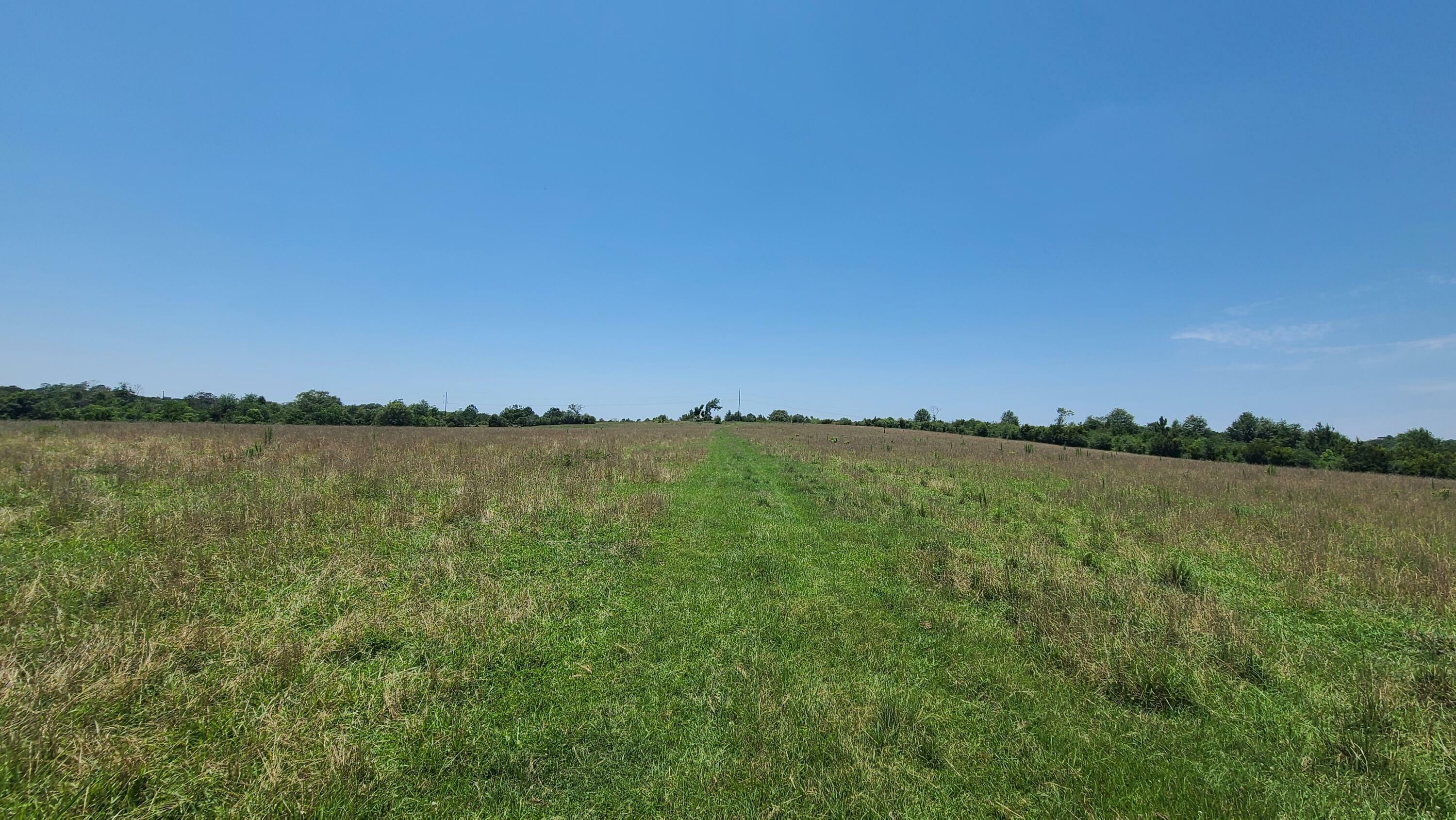 Property Photo:  9797 Hwy 11  MS 39470 