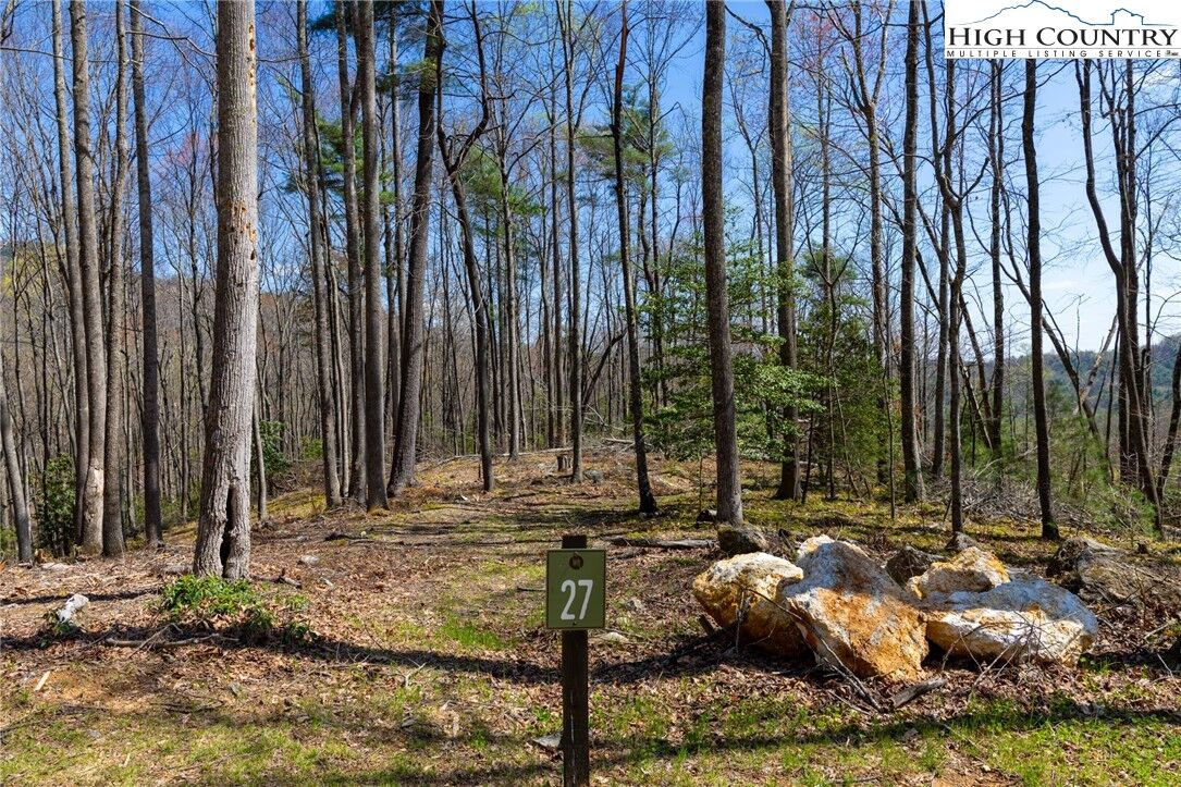 Property Photo: 27 Wilderness Reserve Parkway NC 28618