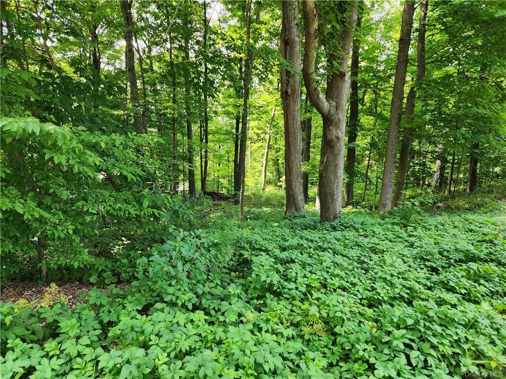 Property Photo: Rambler Road NY 10512