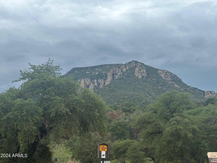 Property Photo:  2415 E Carr Canyon Road '-'  AZ 85615 