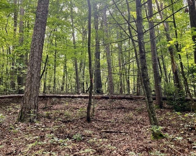 Property Photo:  0 Mountain View Lane  GA 30555 