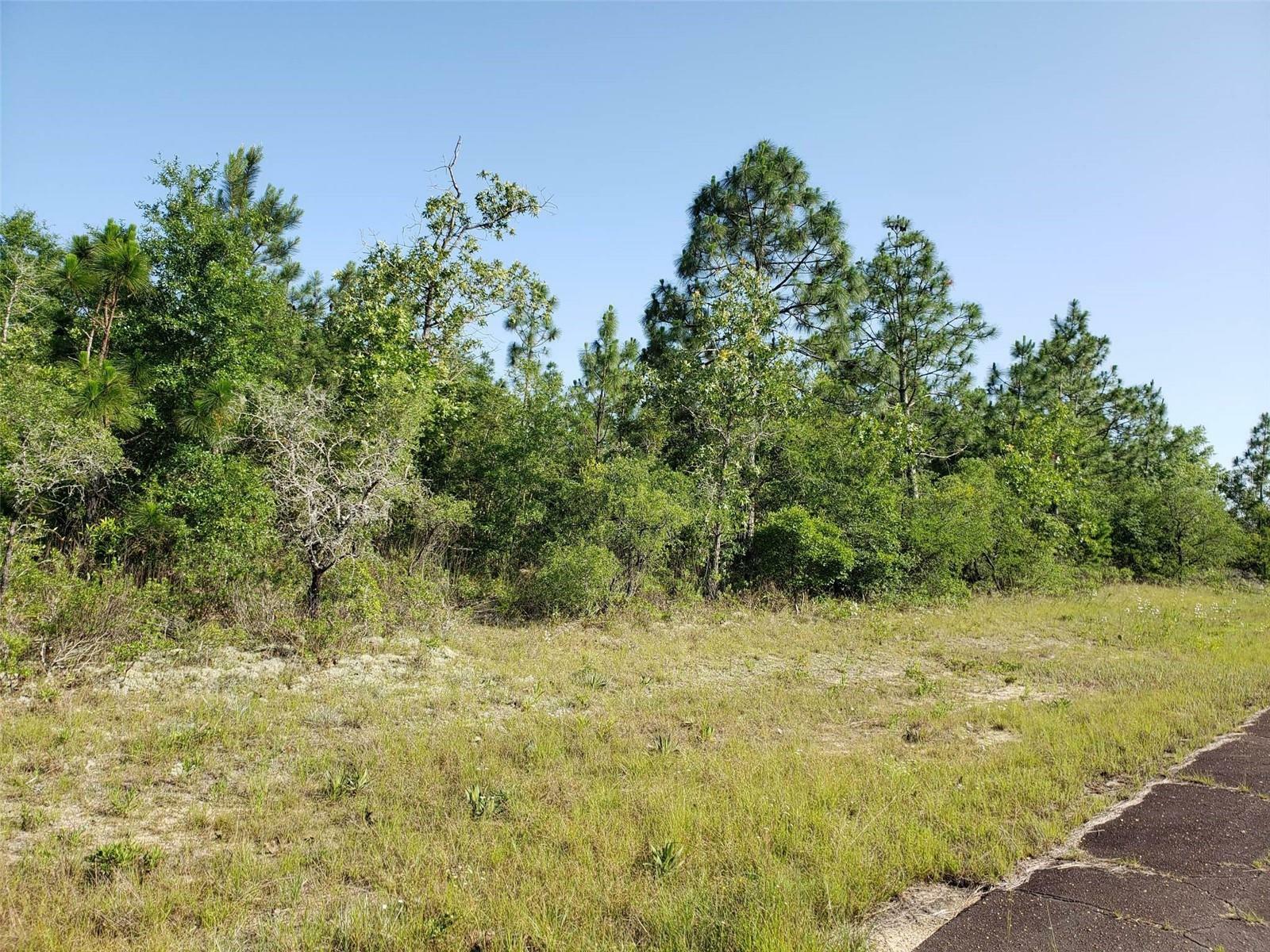 Property Photo:  Keesler Lane  FL 32428 