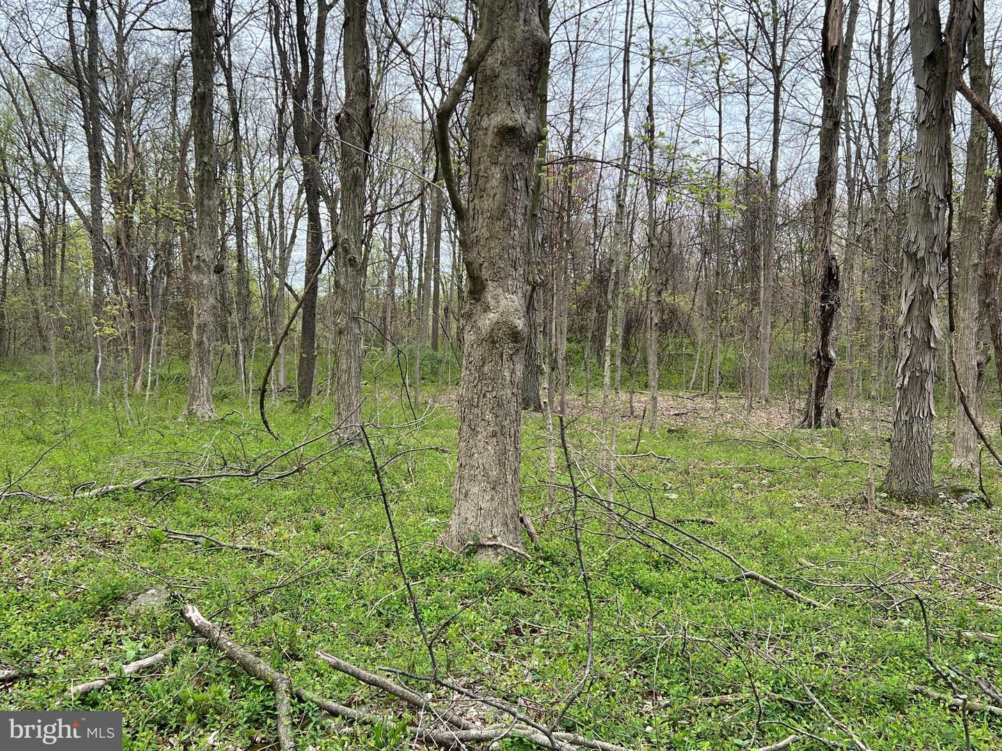 Property Photo:  1005 Trail Road N  PA 17022 