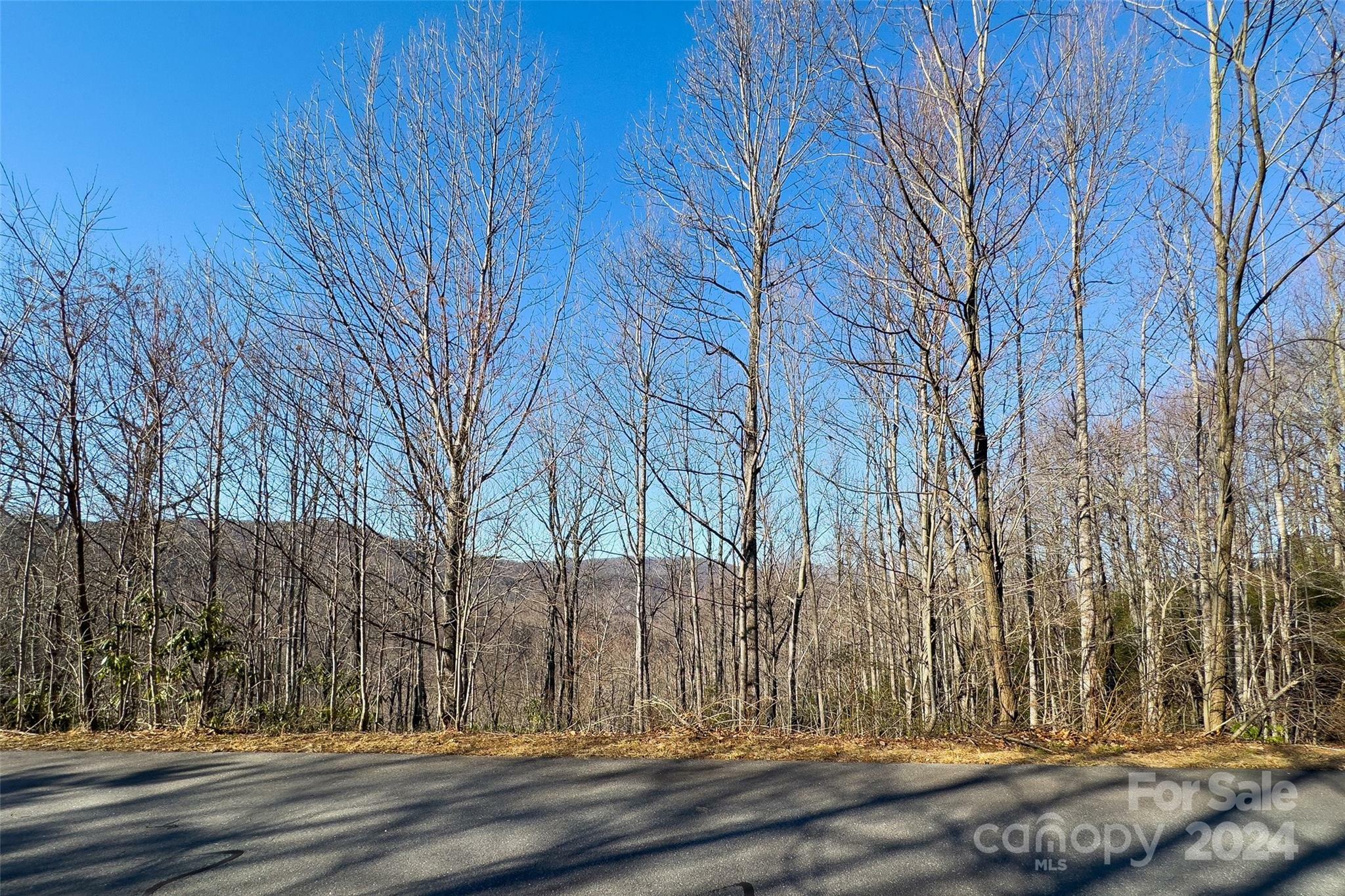 Property Photo:  239 Fuji Falls Trail 138  NC 28711 