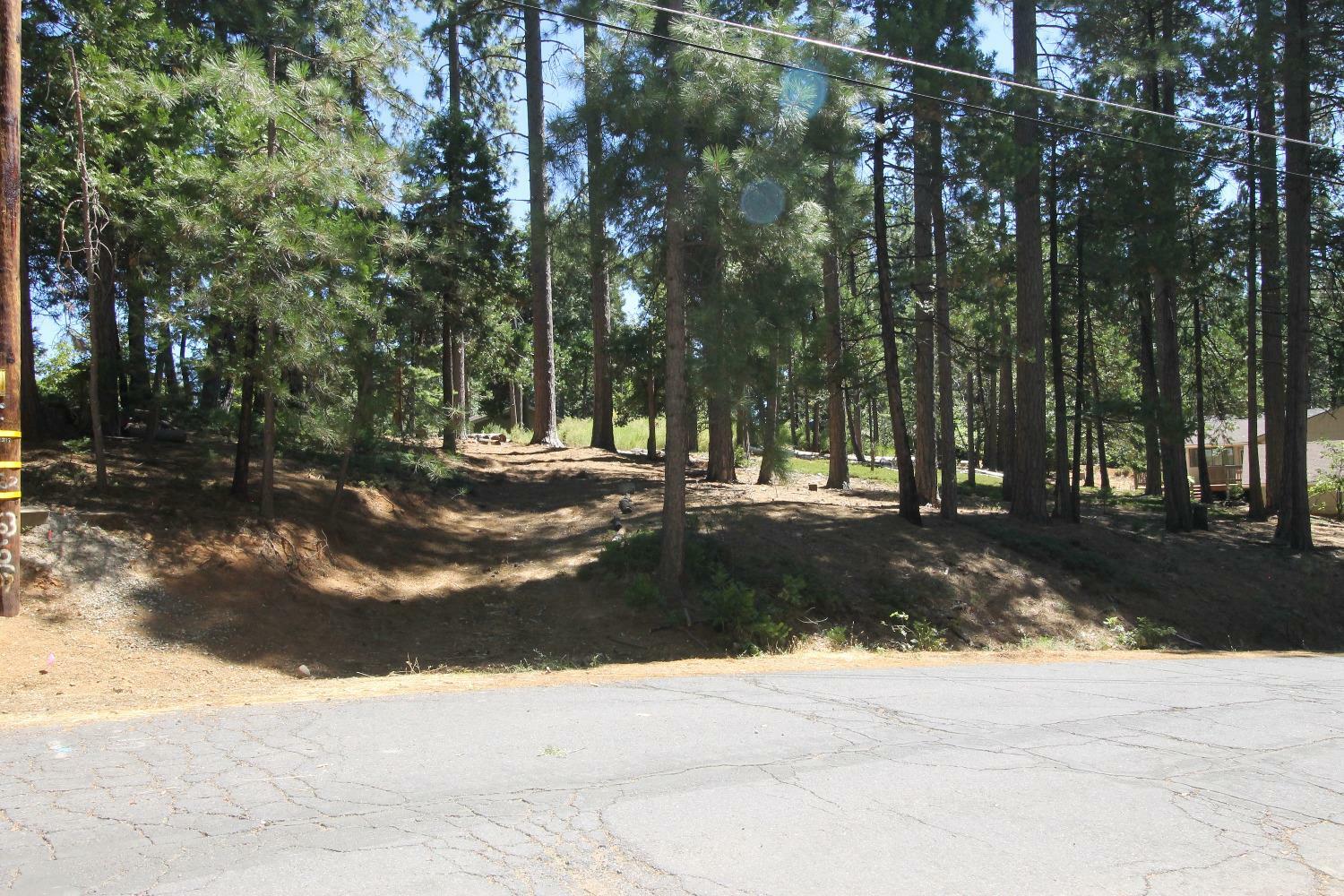 Property Photo:  2331 Sultana Road  CA 95223 