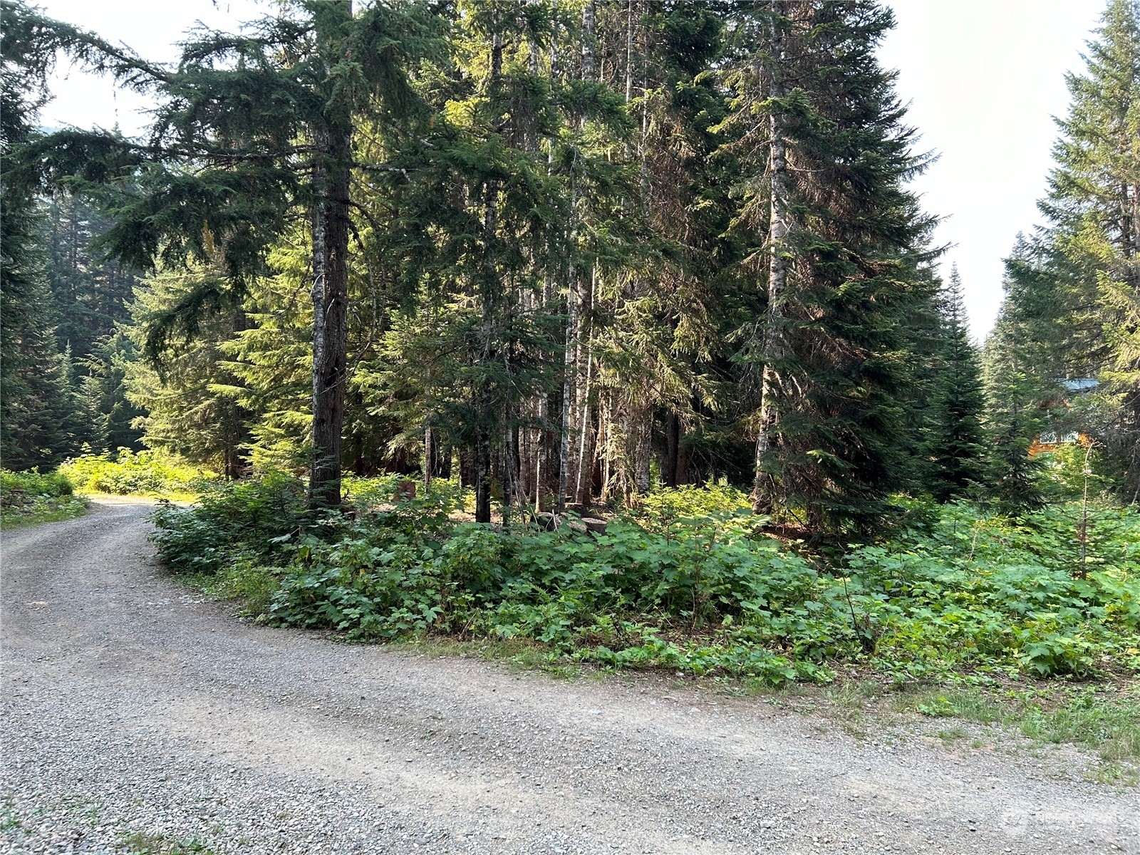 Property Photo:  18 Alaska Mountain Way  WA 98068 