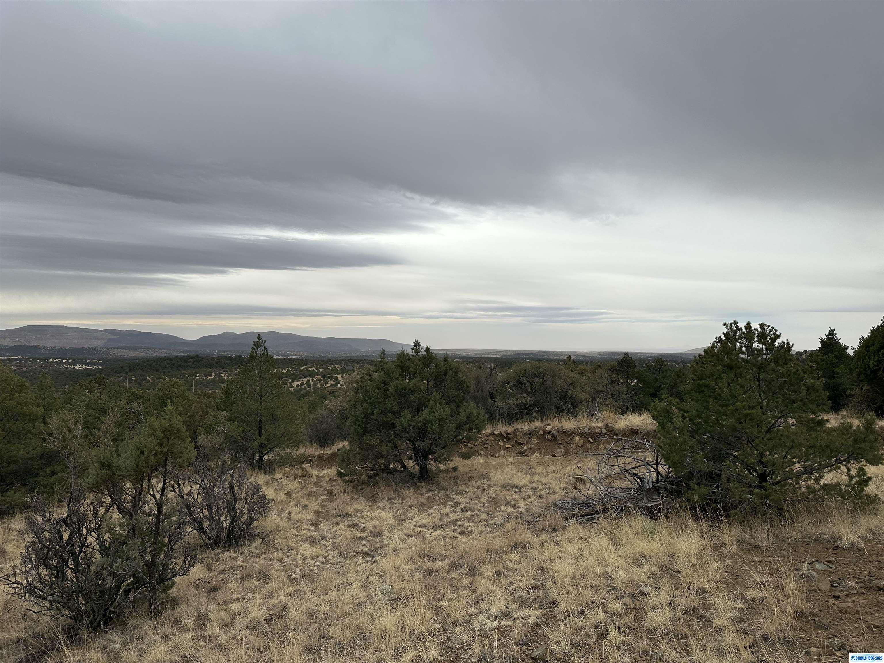 Property Photo:  Xxx Xyz Ranch Road  NM 88061-0000 