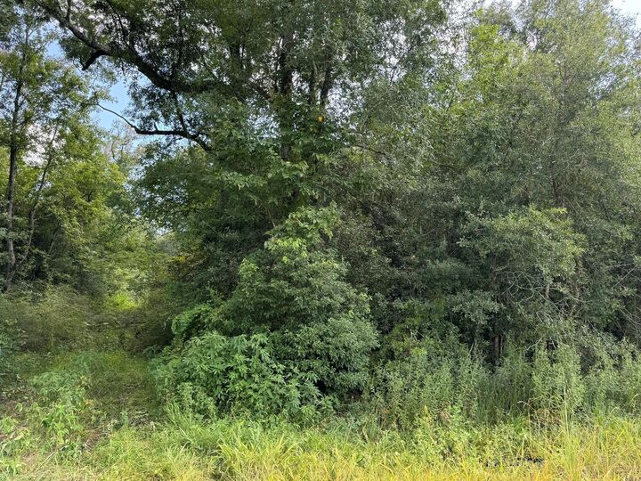 Property Photo:  3167 Ih10,3002 35th St  TX 77630 
