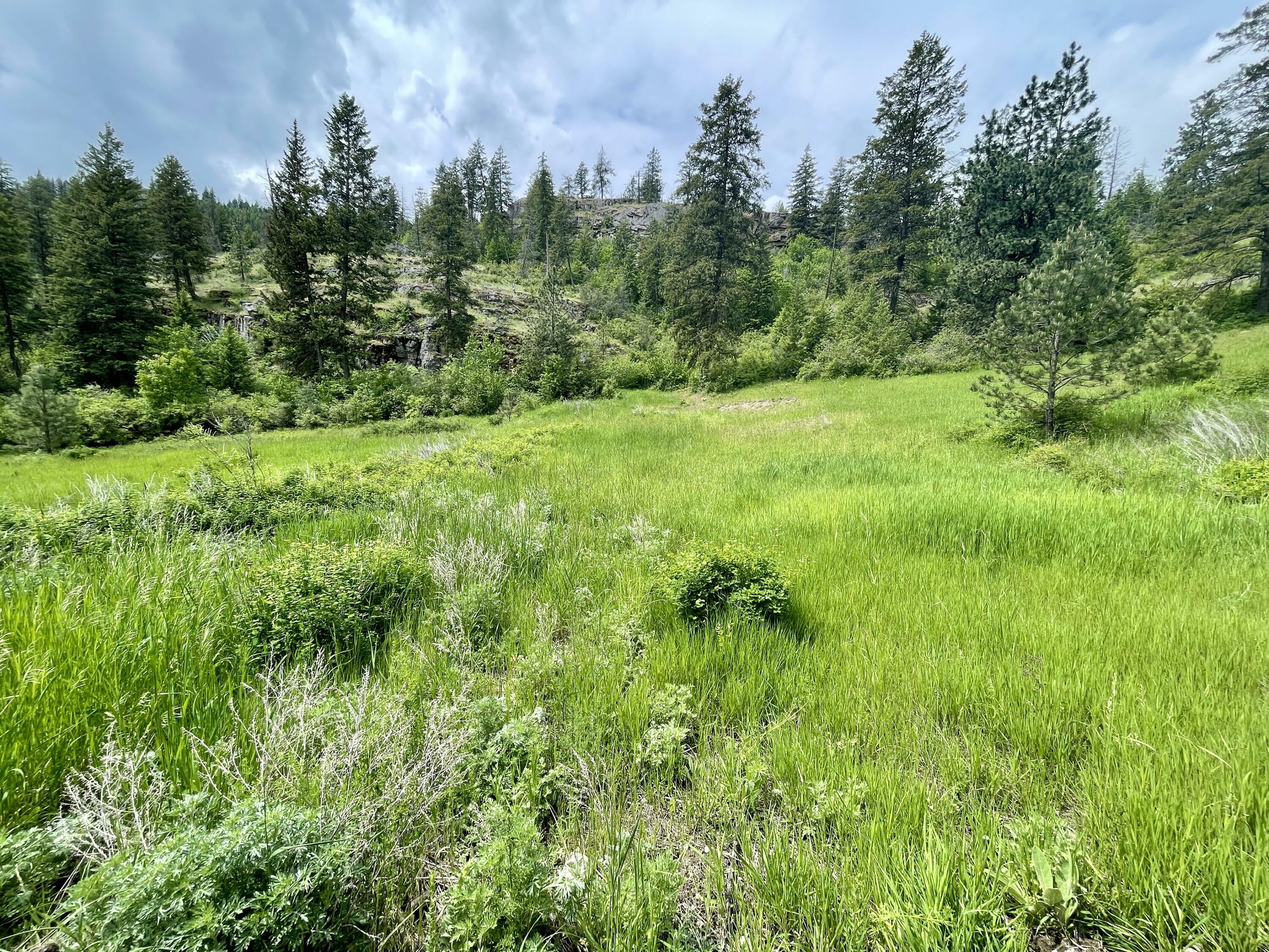 Property Photo:  842 Lot 5 Valley-Westside Rd  WA 99114 