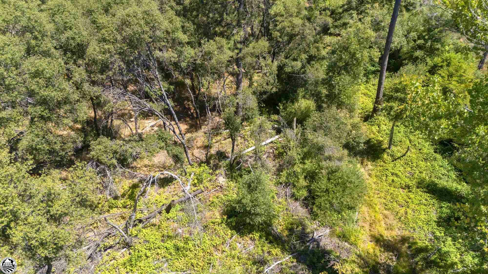 Property Photo:  Parcel B State Highway 120  CA 95305 