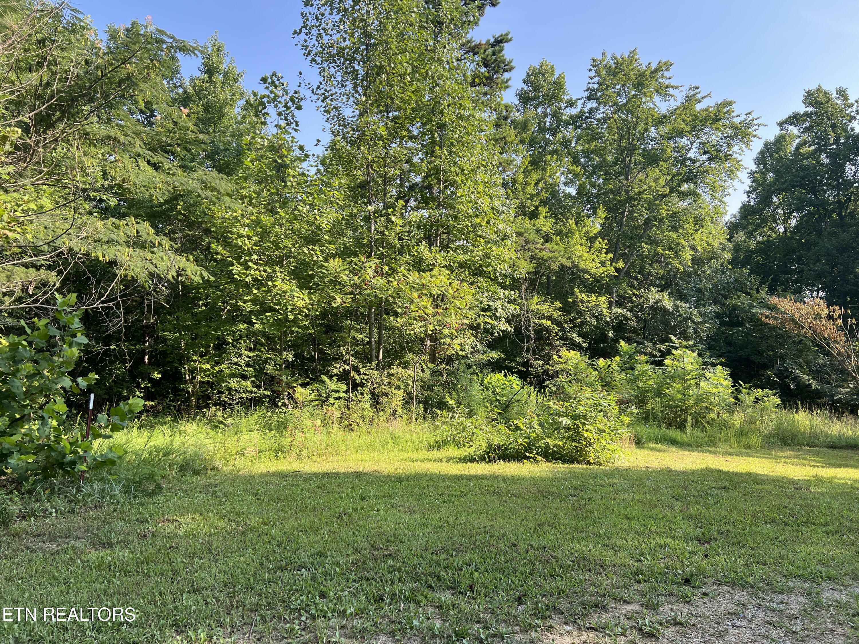 Property Photo:  926 Gallaher Rd  TN 37763 