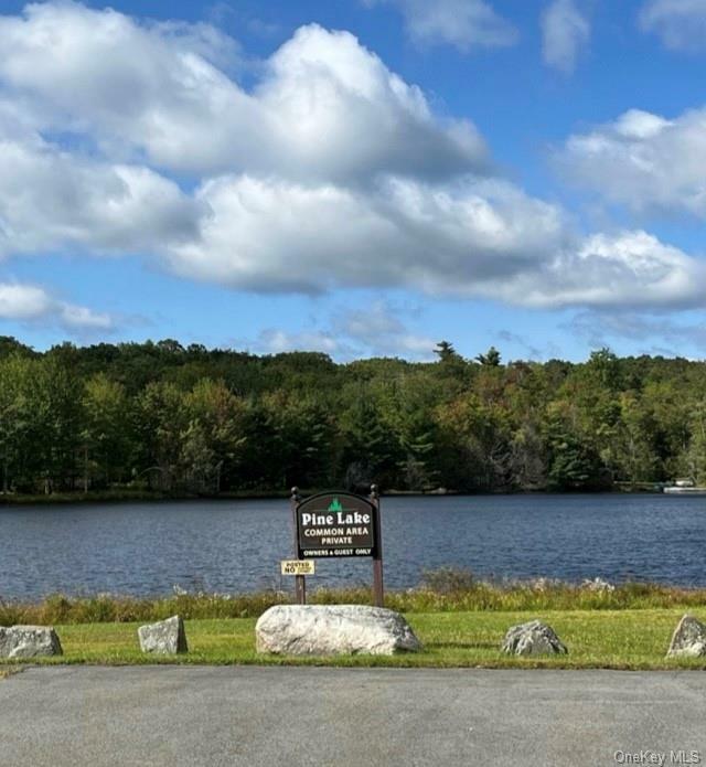 Lot 20 Pine Lake Drive  Wurtsboro NY 12790 photo