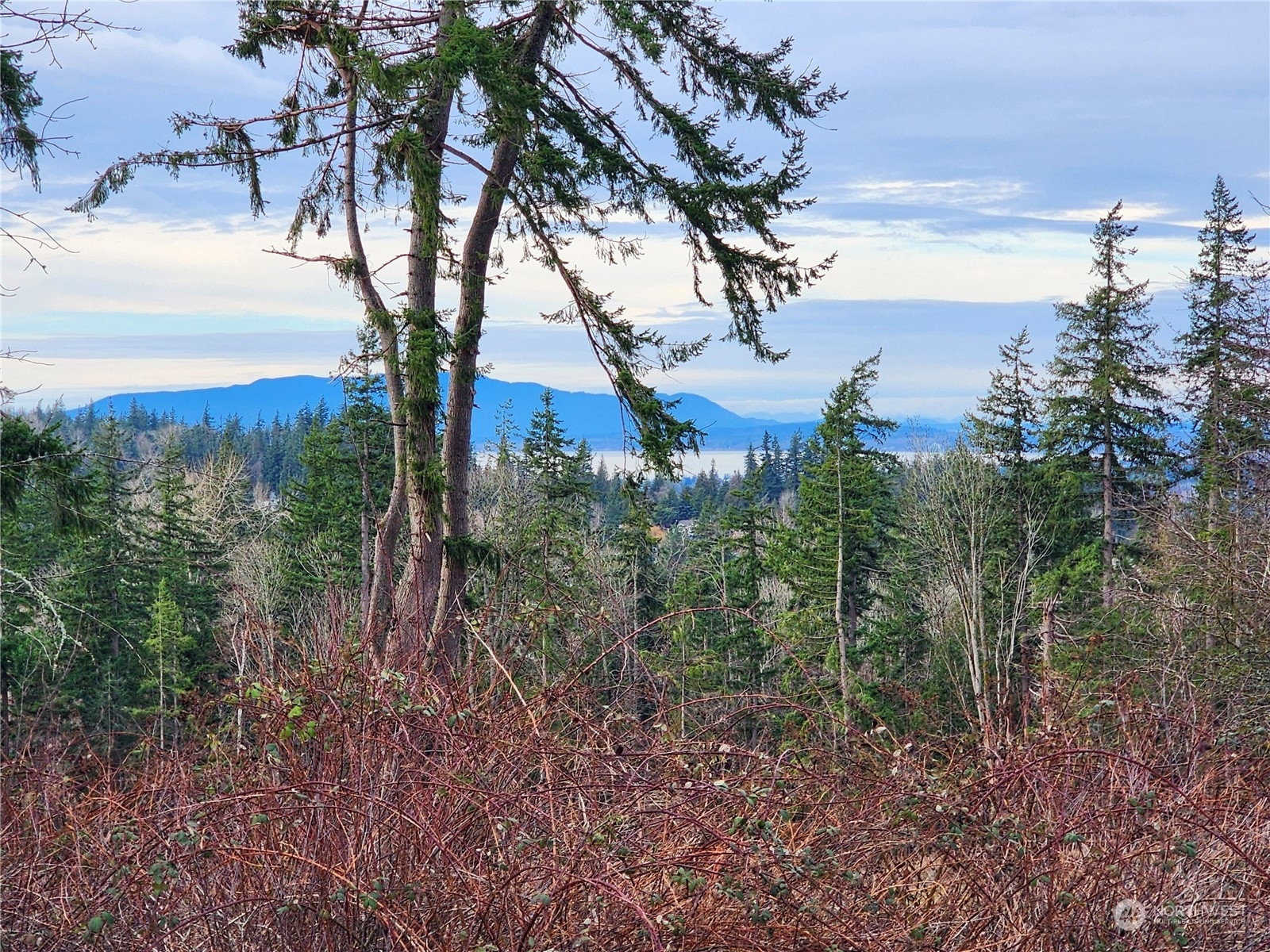 Property Photo:  3941 B Toad Lake Rd  WA 98226 