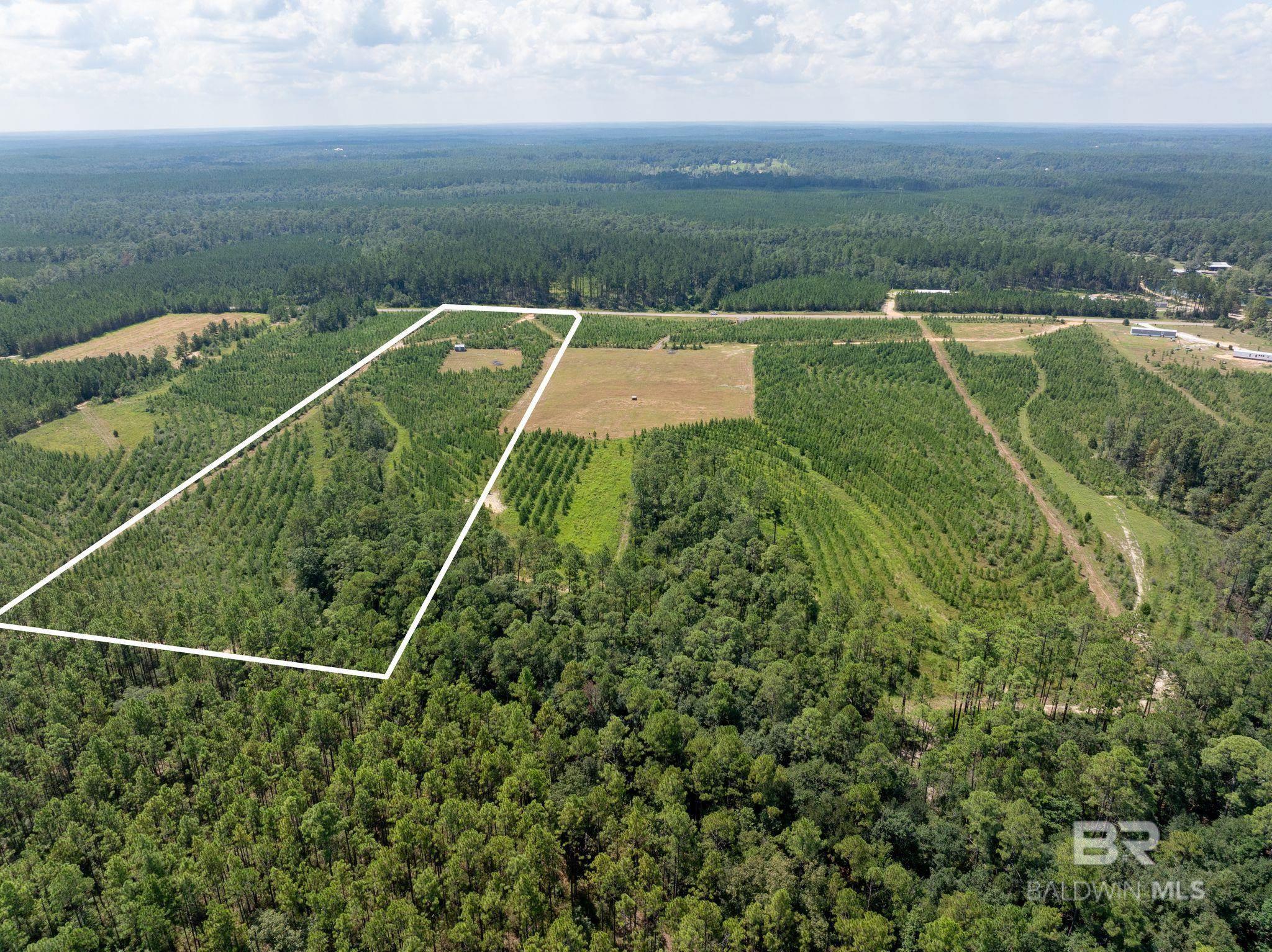 Property Photo: 0 Horseneck Road AL 36507