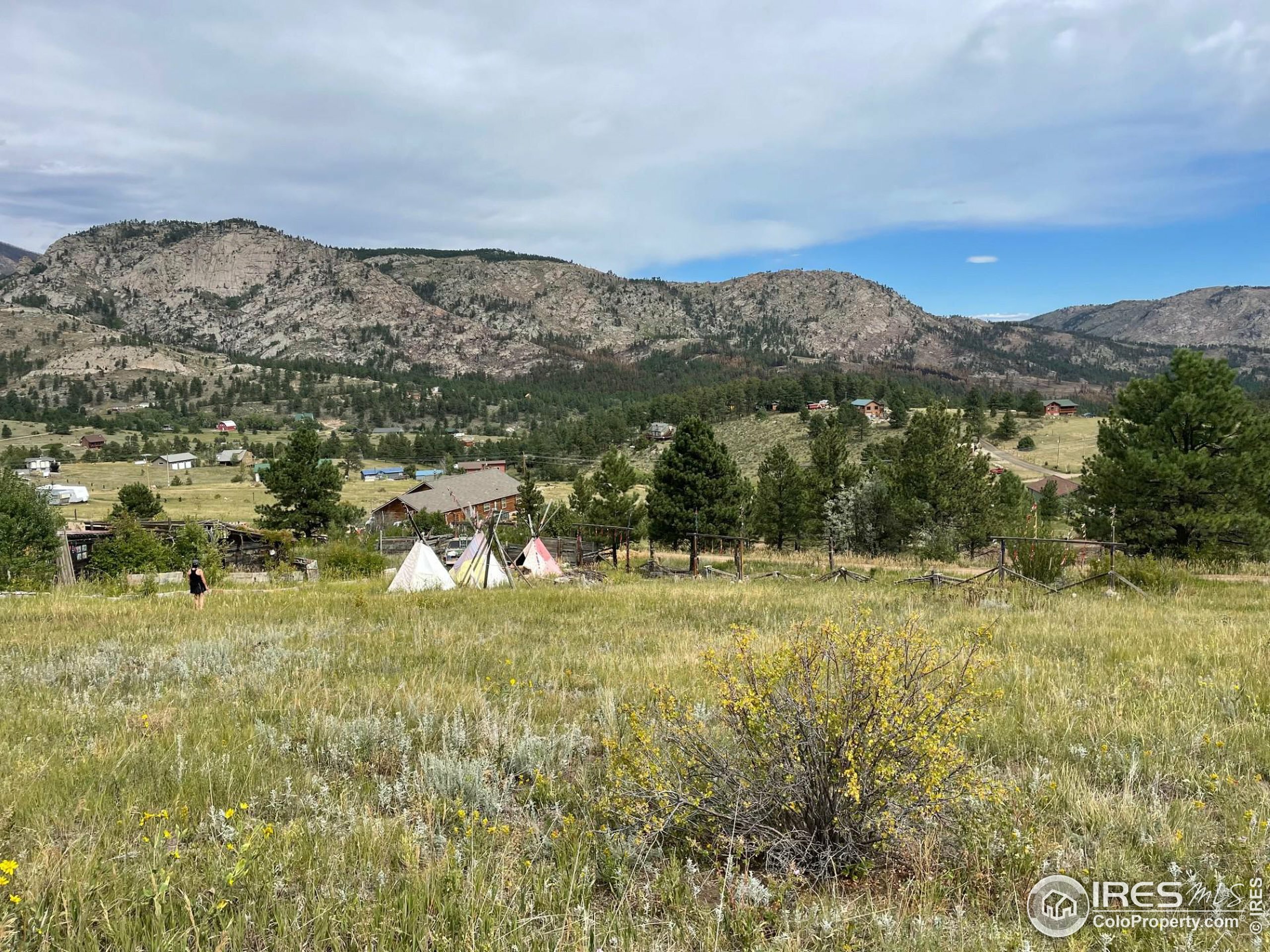 Property Photo:  1843 Palisade Mountain Dr  CO 80515 