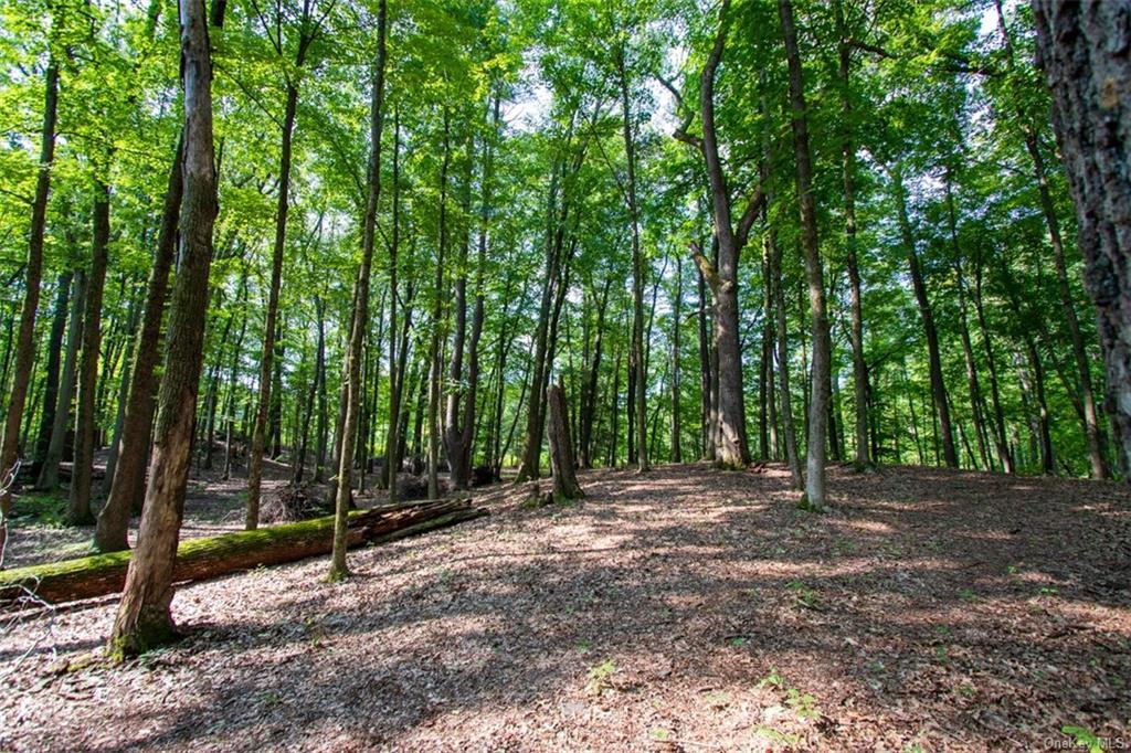 Property Photo: 99 Russell Avenue NY 12574