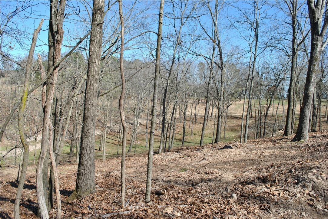 Property Photo:  Lot 105 E Robin Road  AR 72756 