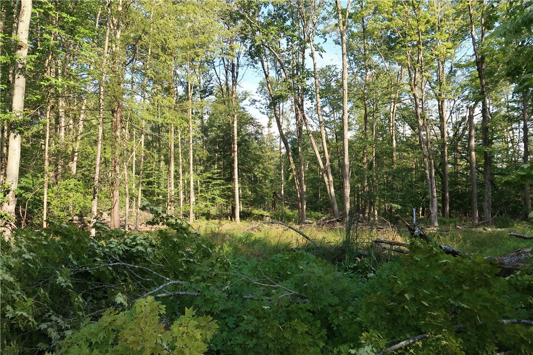 Property Photo:  Lot 9 German Road  NY 13863 