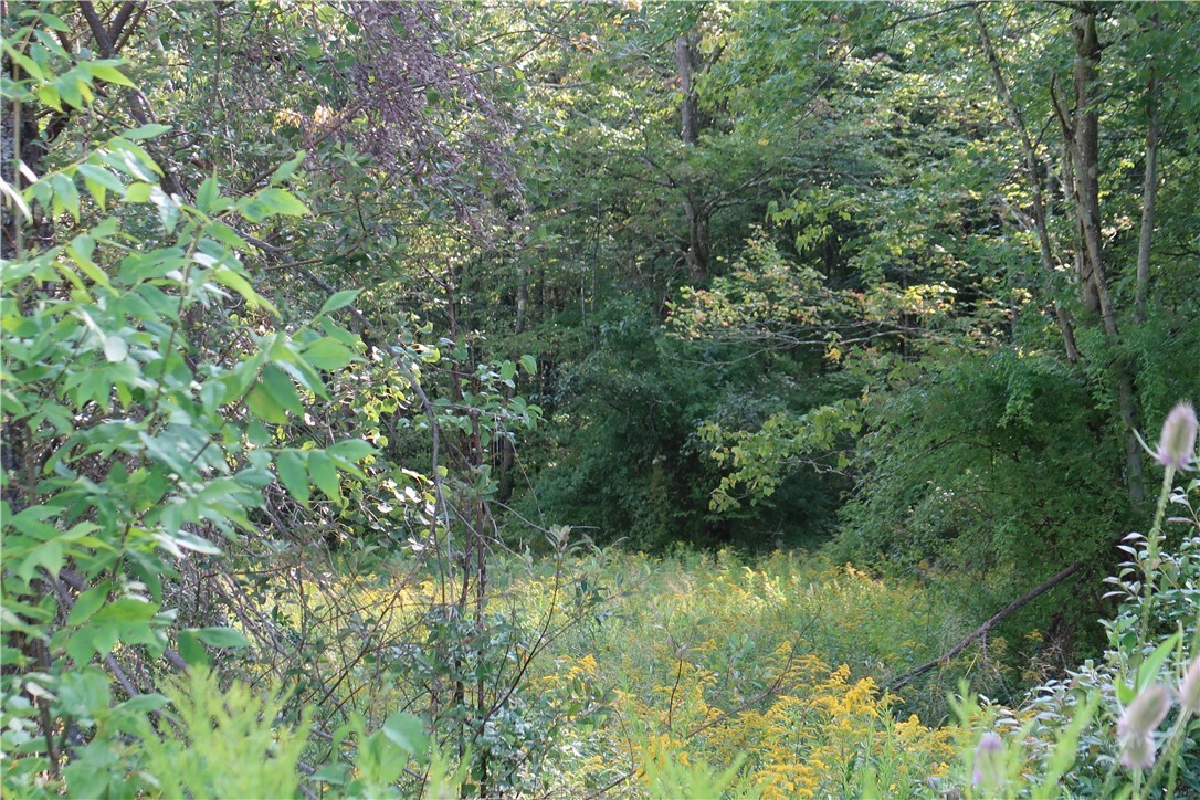 Property Photo:  Lot 6 German Road  NY 13863 