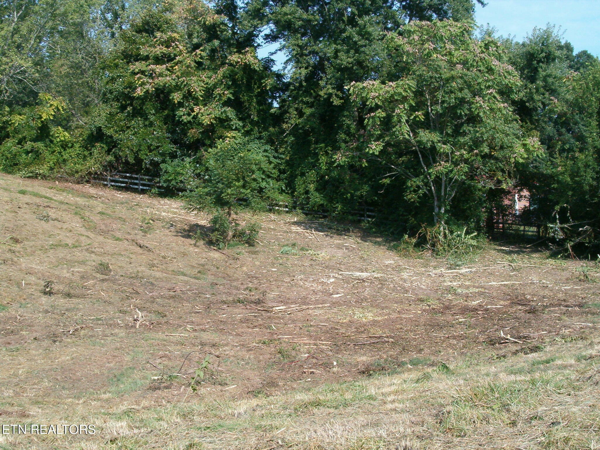 Property Photo:  199 Chestnut Ridge Rd  TN 37763 