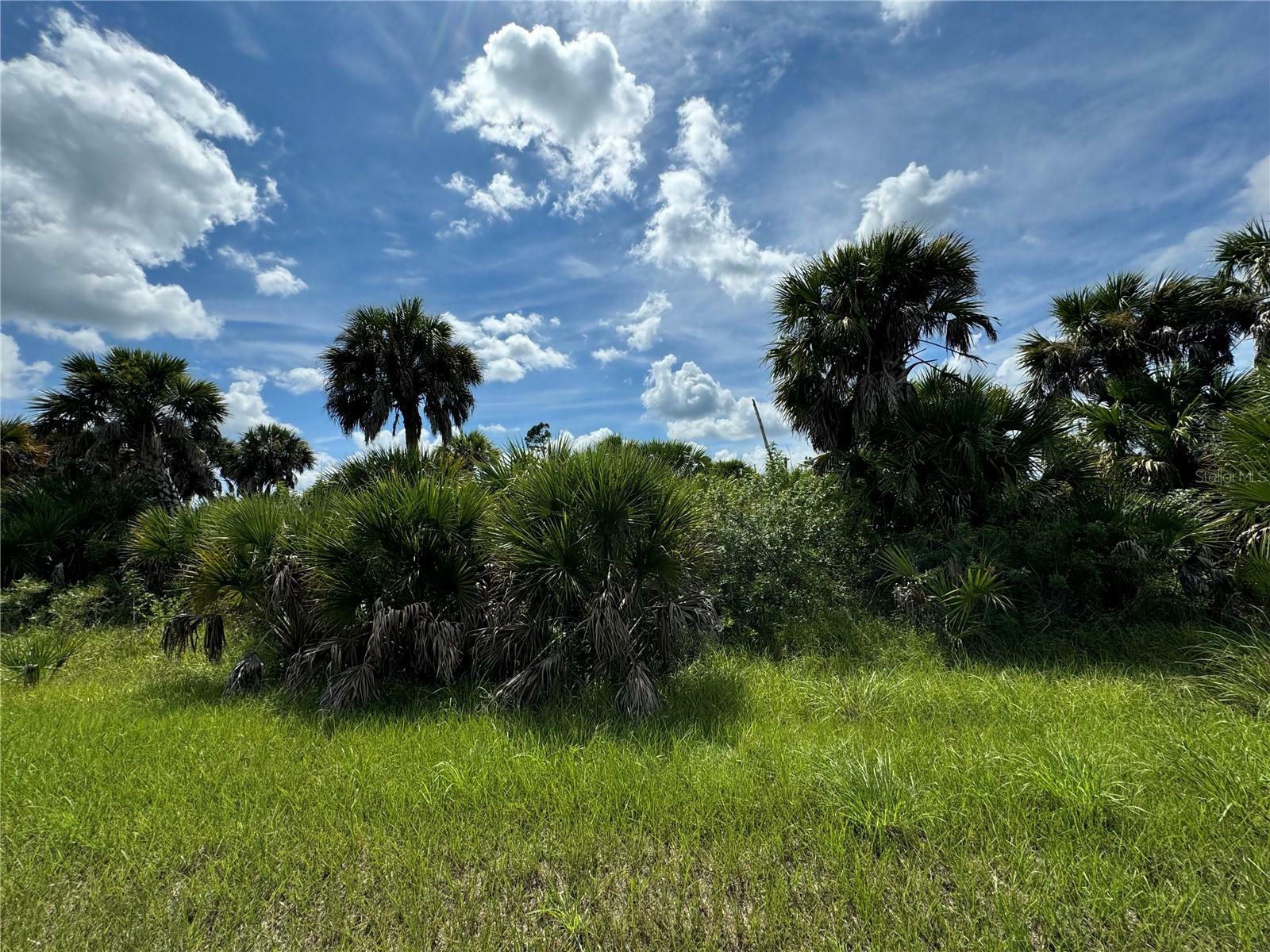 Property Photo:  Snowdrift Terrace  FL 34288 