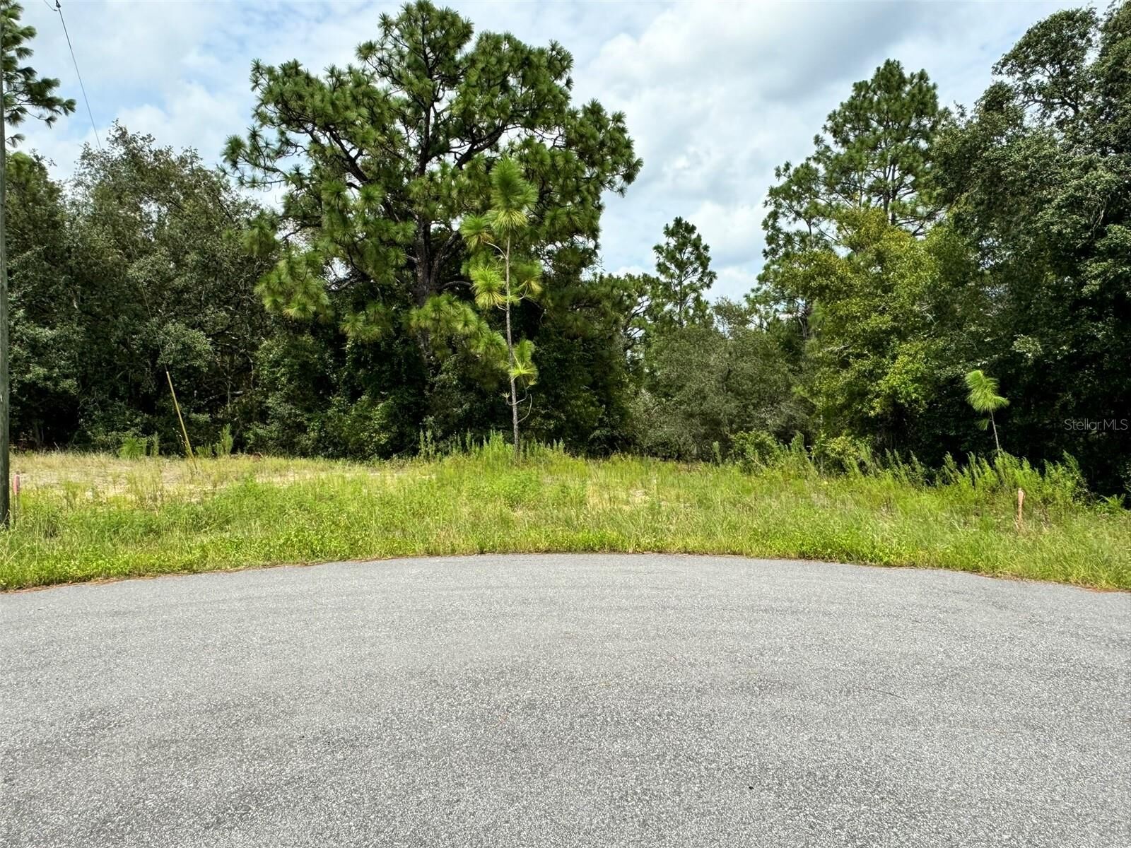 Property Photo: 11349 N Zeus Point FL 34433