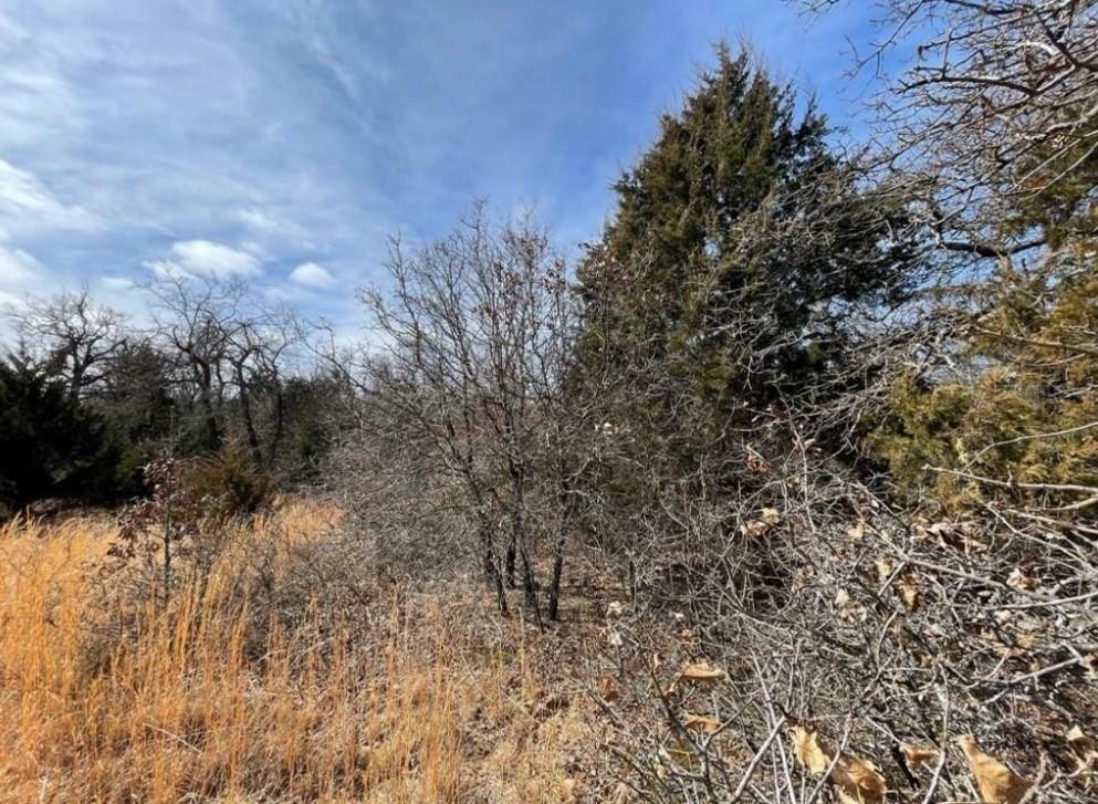 Property Photo:  0 Lot 9 Toad Road  OK 73045 