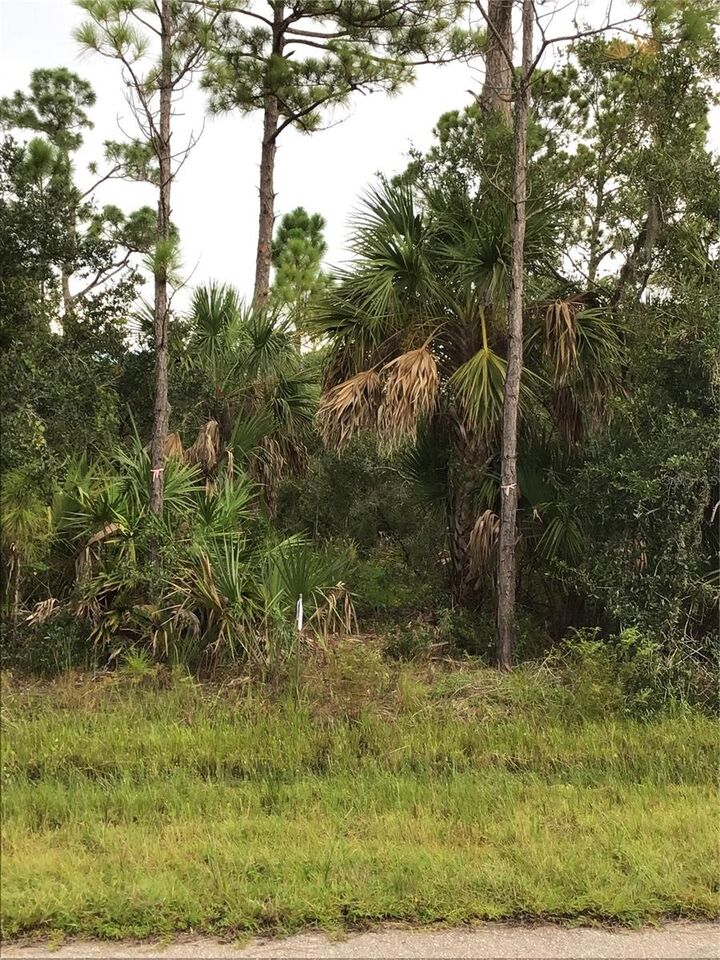 Property Photo: 14202 Hydrangea Avenue FL 33953