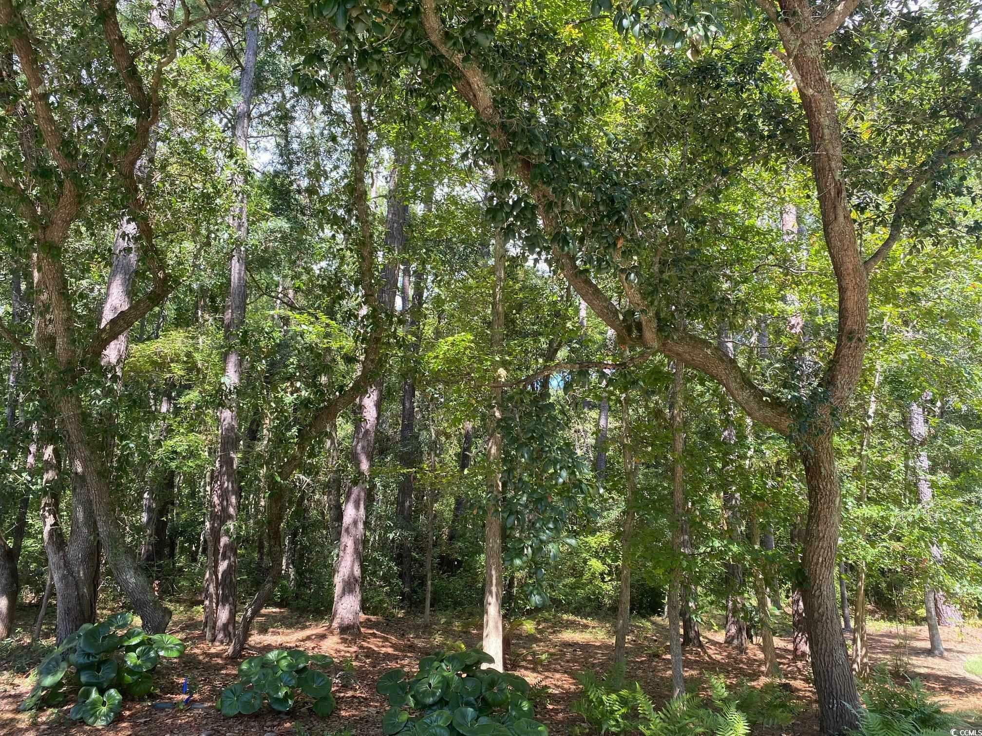 Property Photo:  Lot 22 Grey Fox Loop  SC 29585 