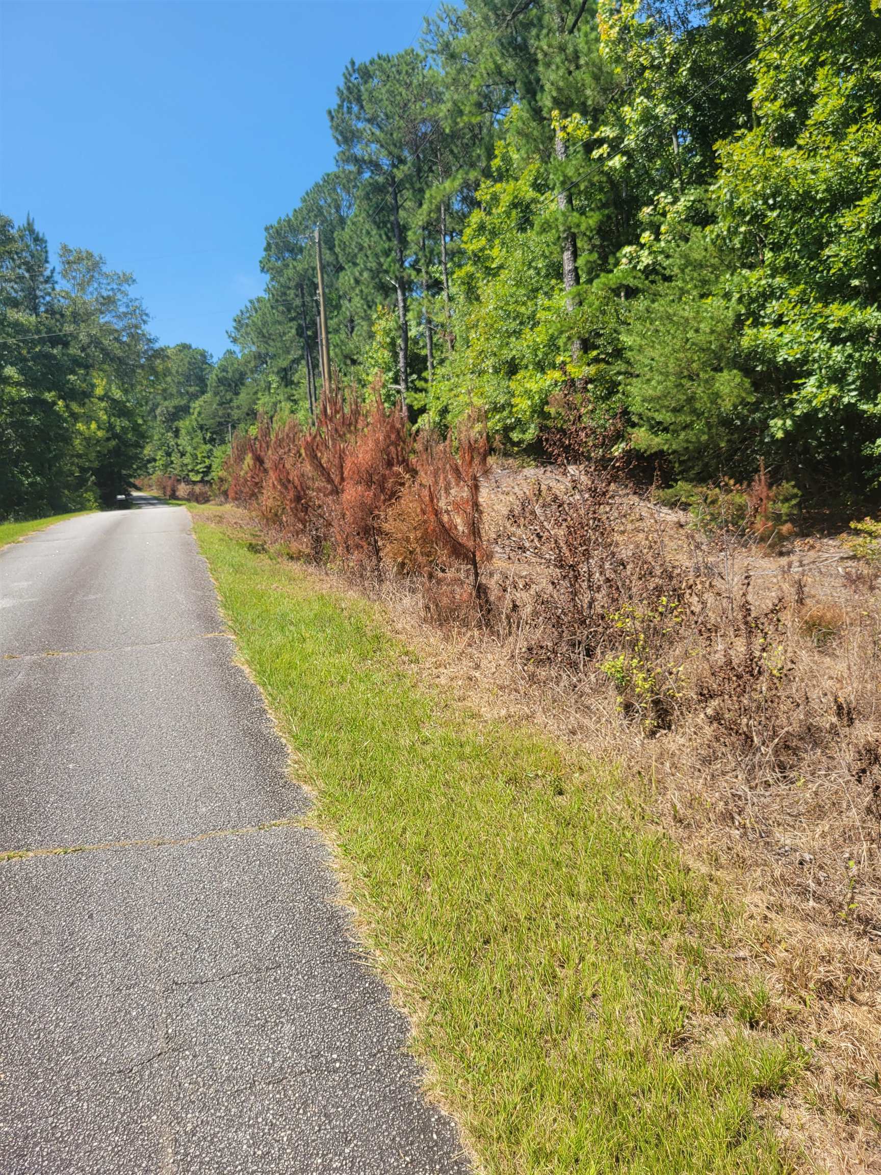 Property Photo: Plantation Trail SC 29372