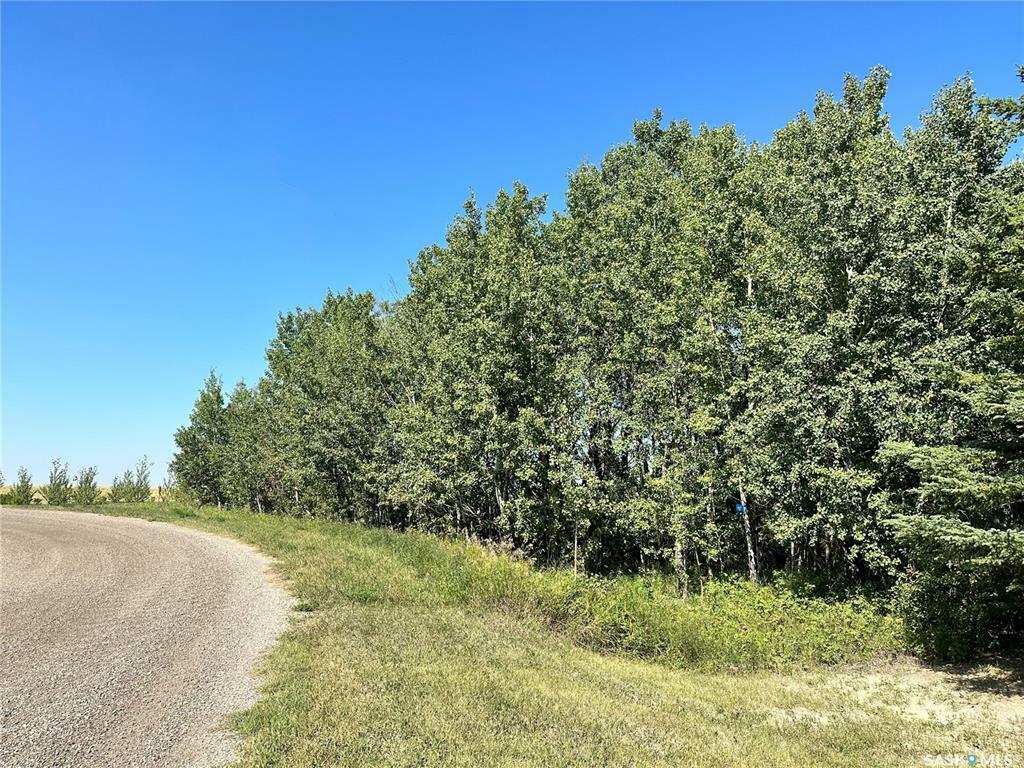 Property Photo:  137 Parkview Road  SK S0K 2X0 