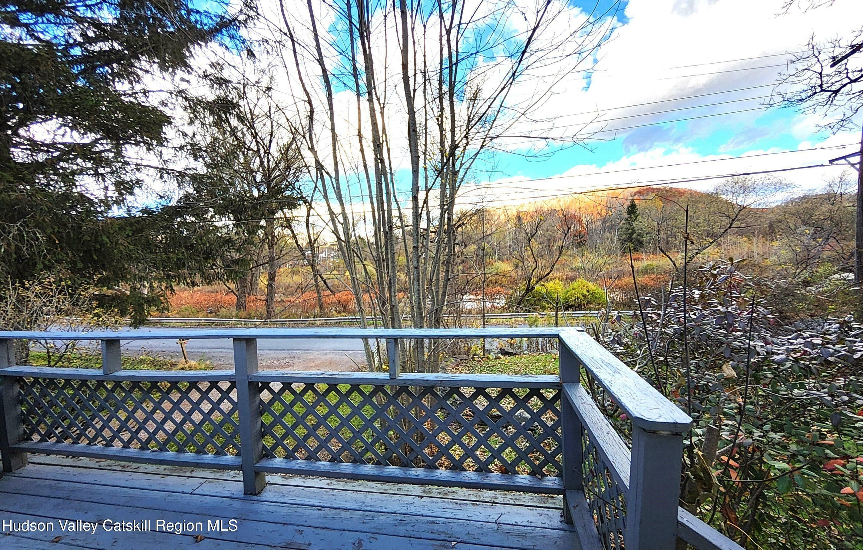 Property Photo: 284 Dry Brook NY 12406