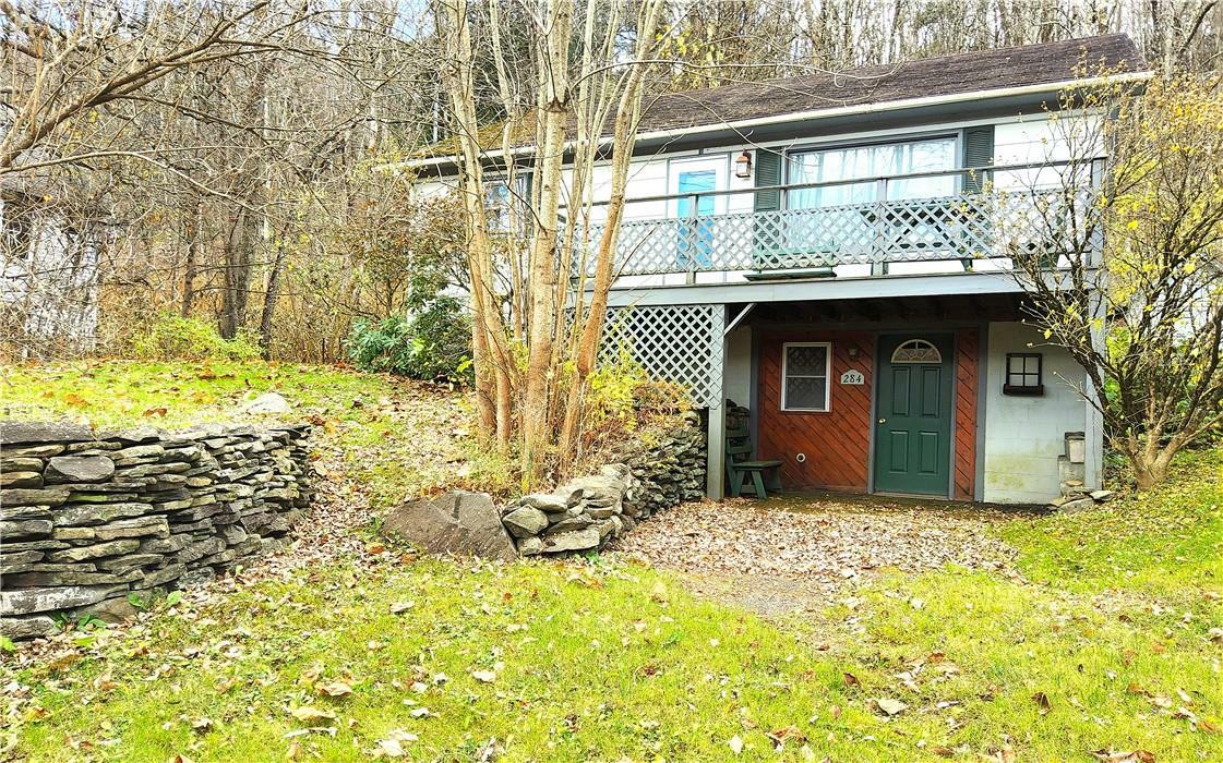 Property Photo:  284 Dry Brook Road  NY 12406 