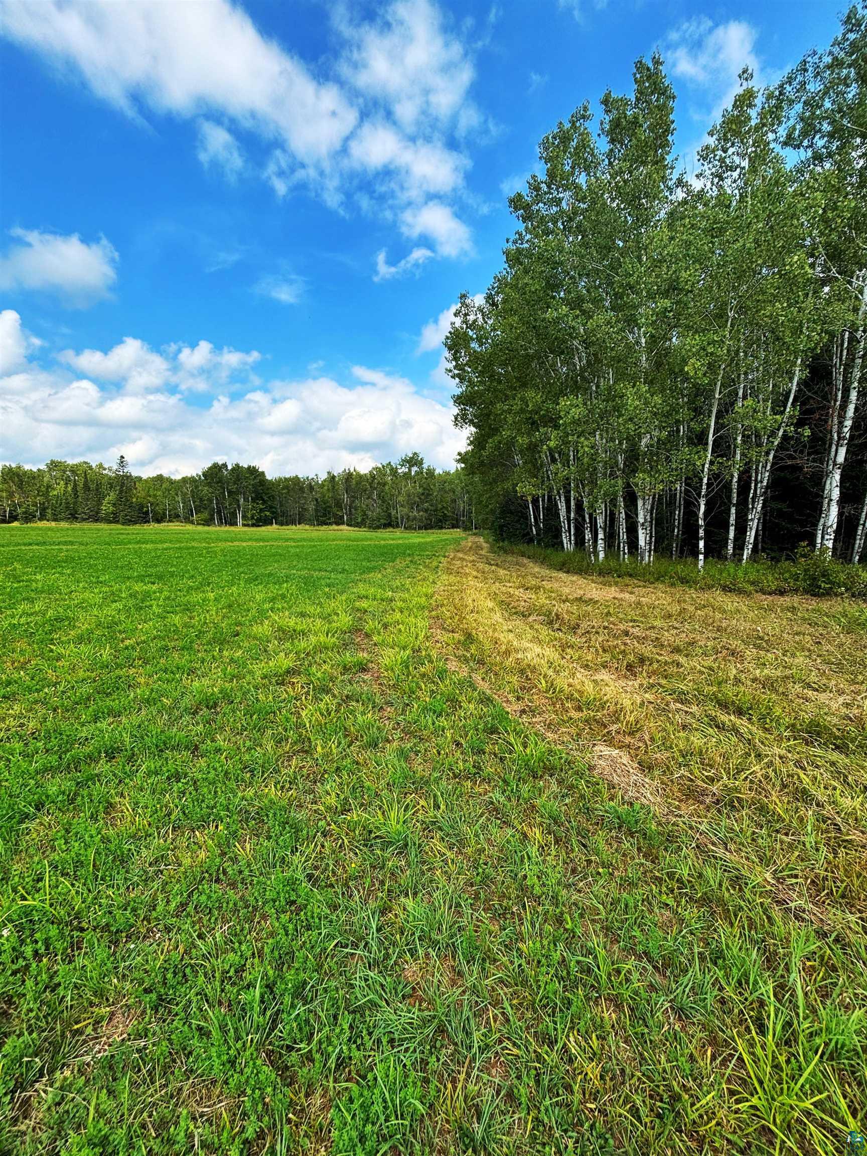 Property Photo: 000 County Hwy E WI 54856