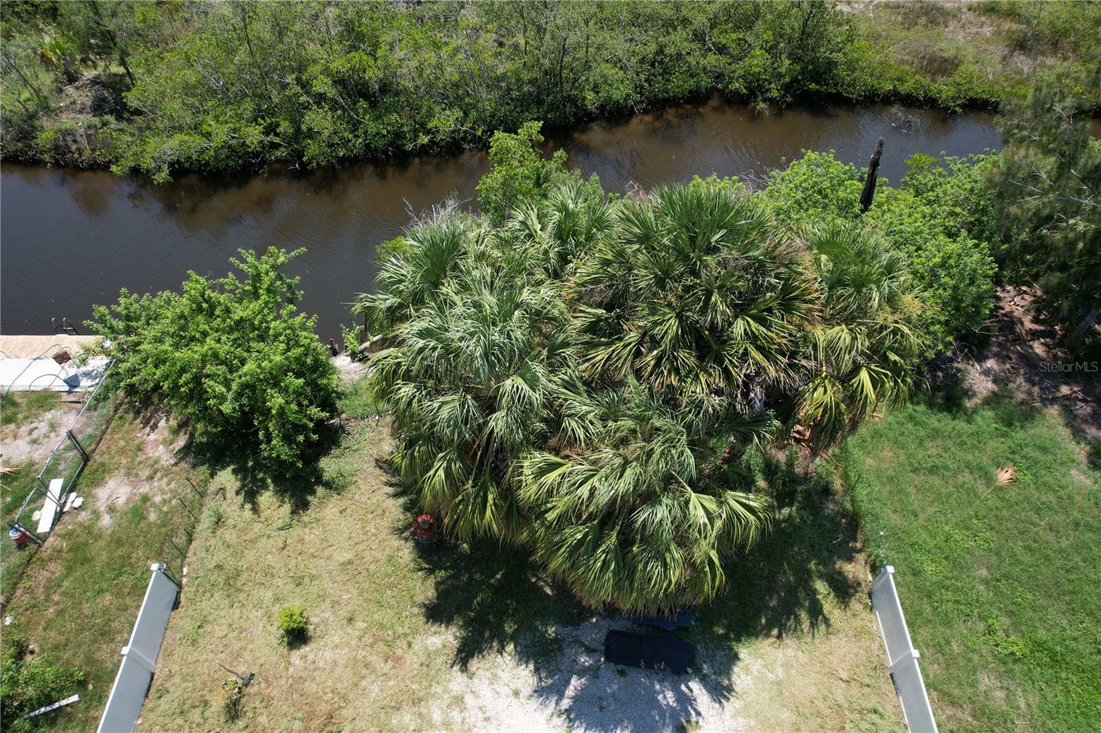 Property Photo:  4826 Treasure Drive  FL 34652 