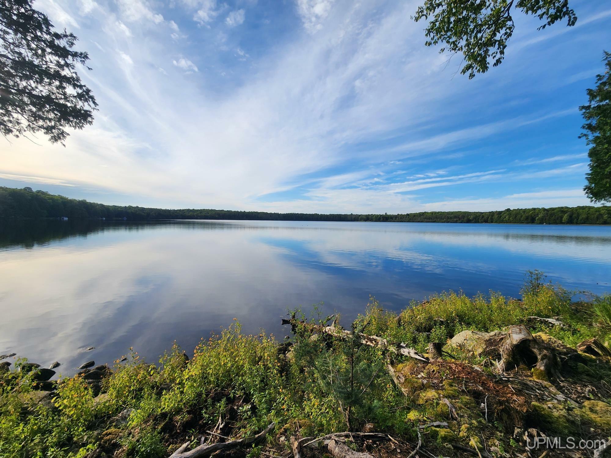 Tbd Wildwood Lake  Iron River MI 49935 photo